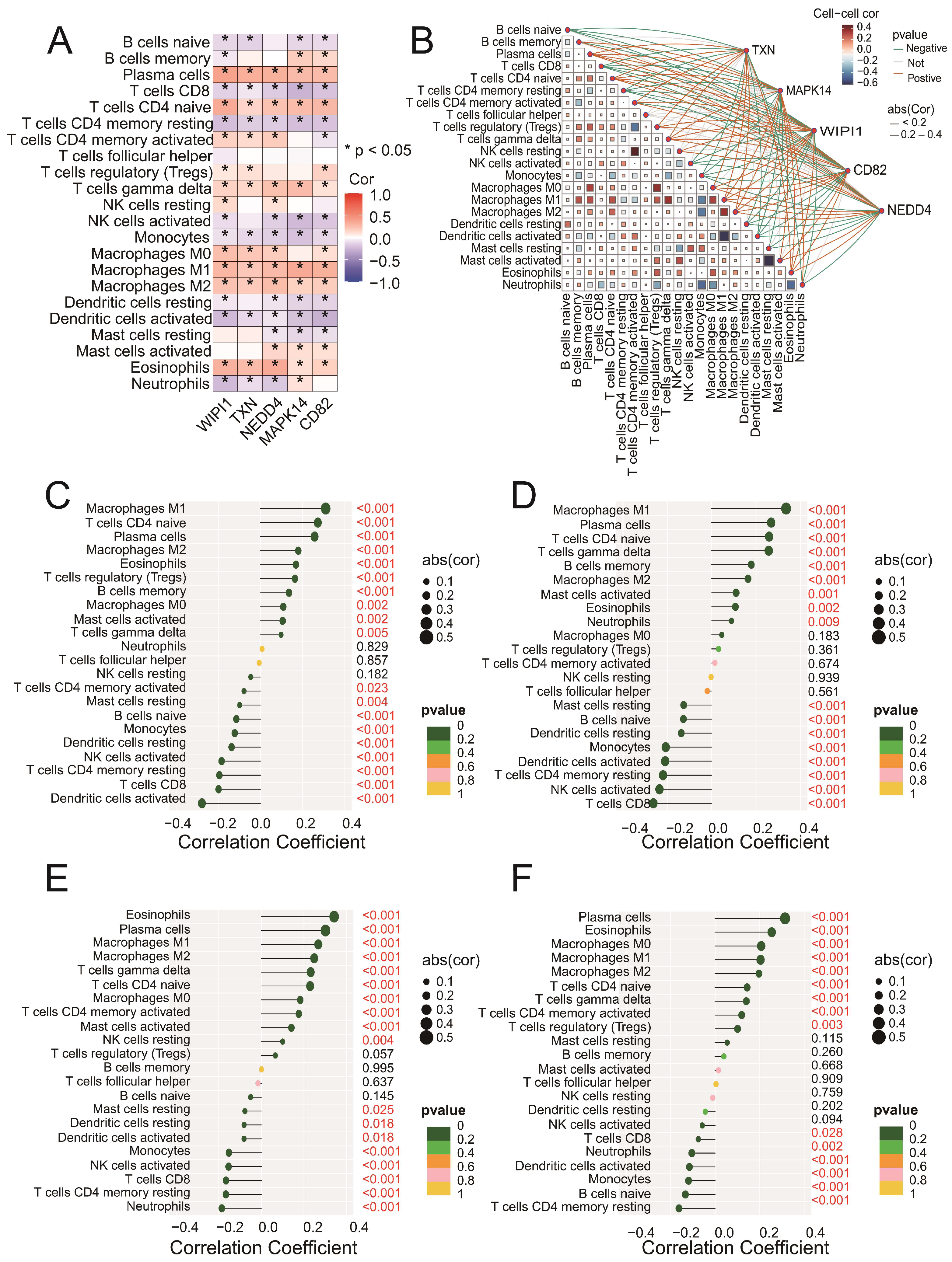 Biomedicines 13 00942 g006