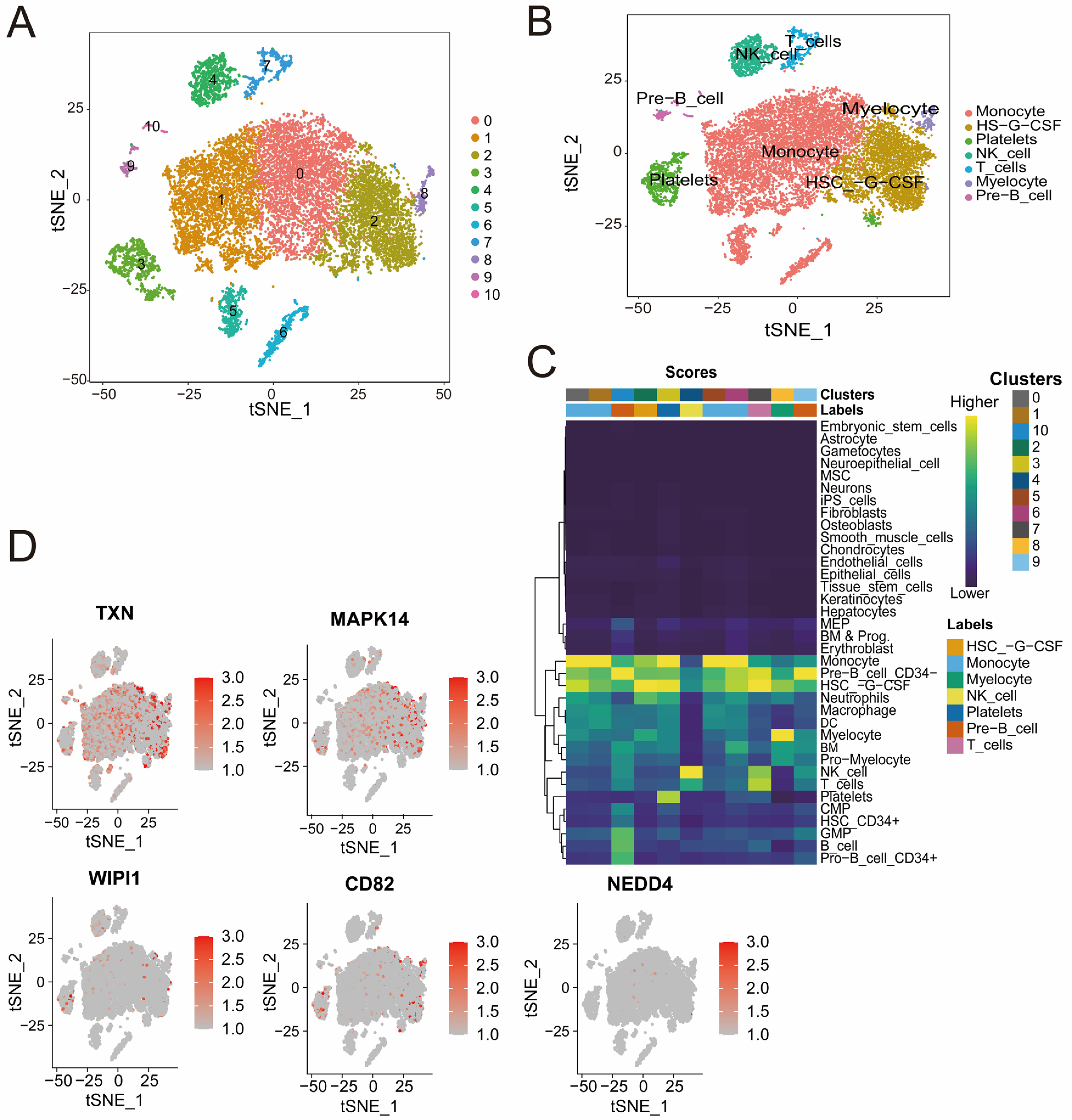 Biomedicines 13 00942 g007