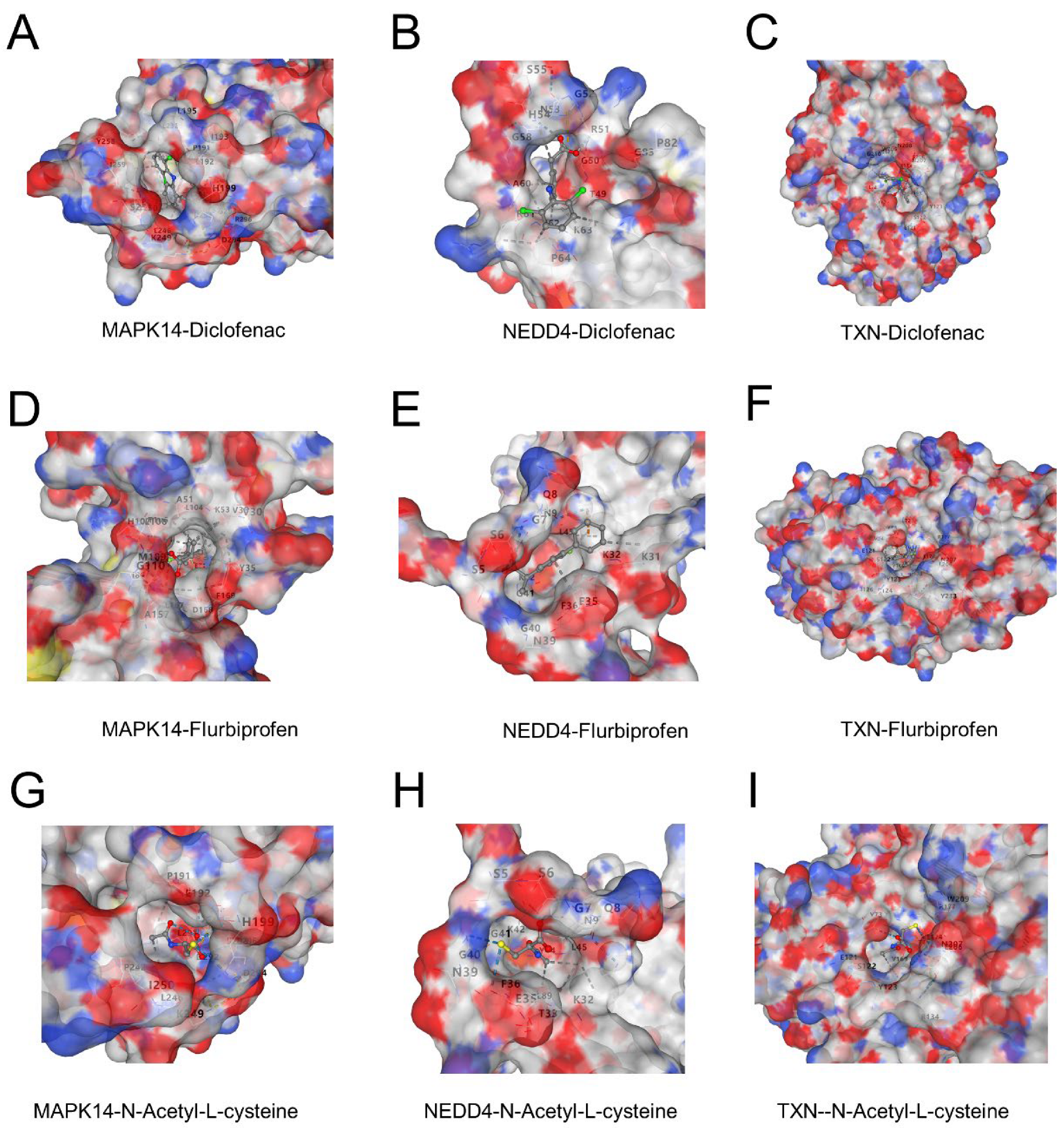 Biomedicines 13 00942 g008