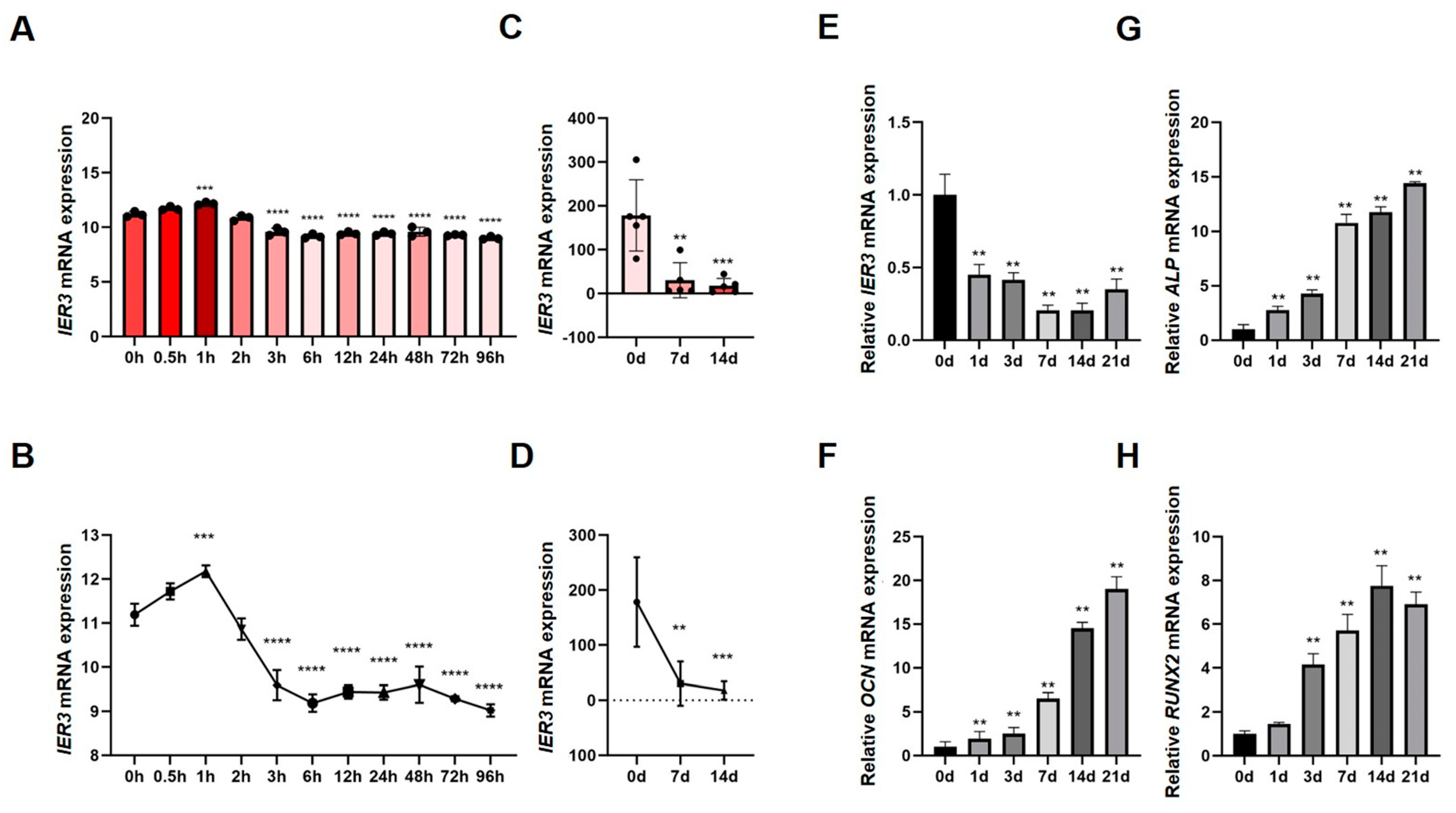 Biomedicines 13 00947 g001