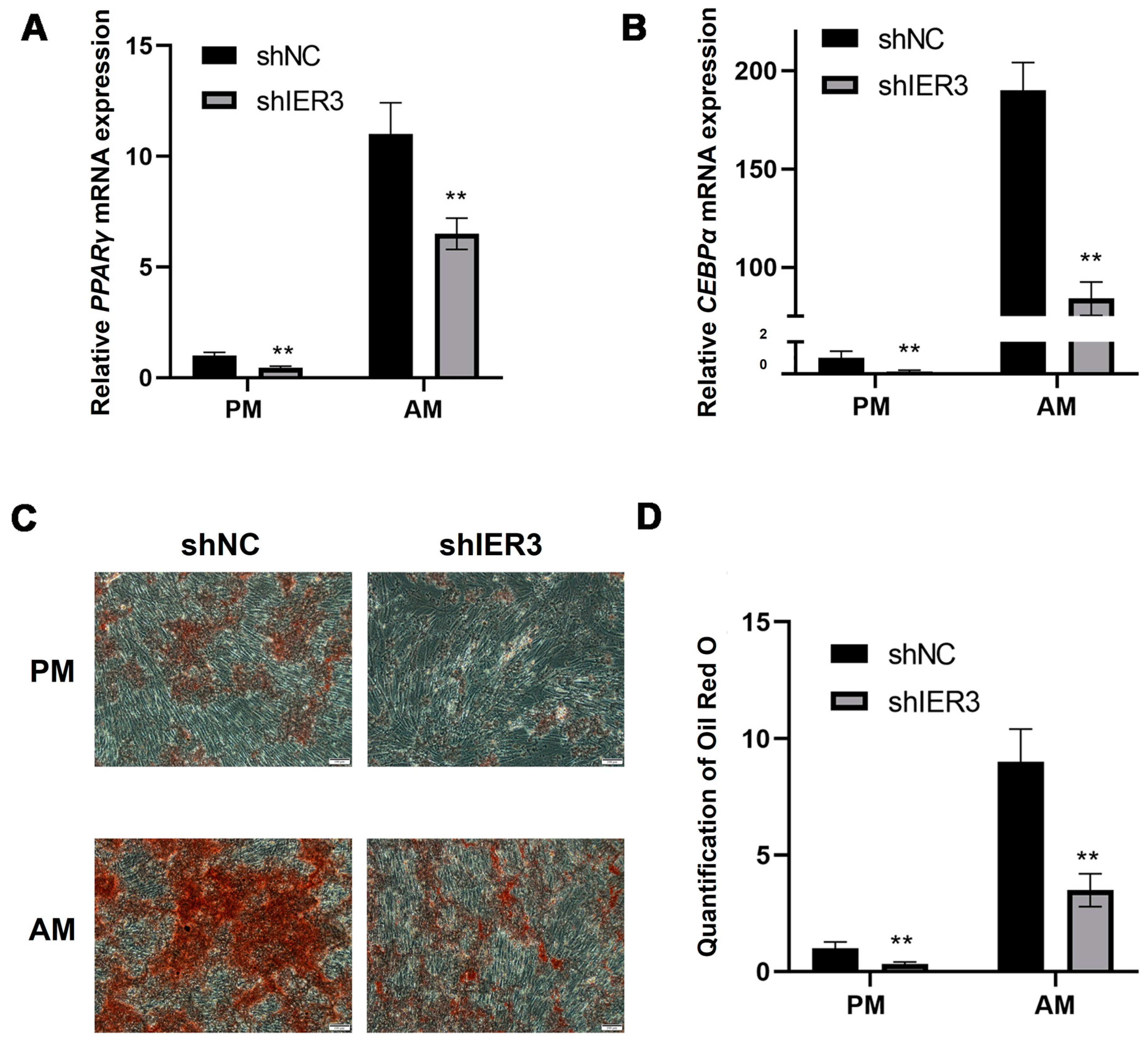 Biomedicines 13 00947 g006