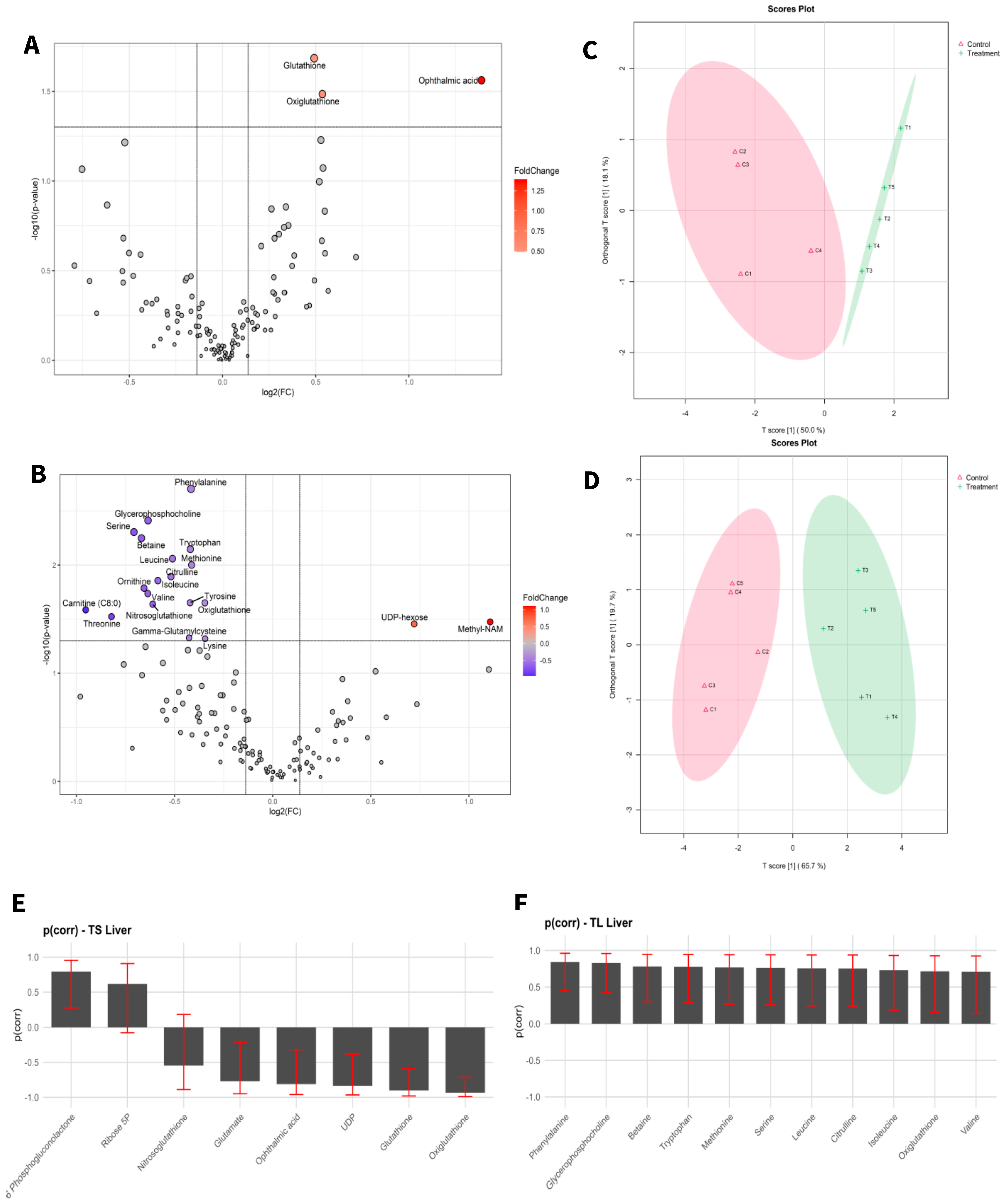 Biomedicines 13 00949 g001