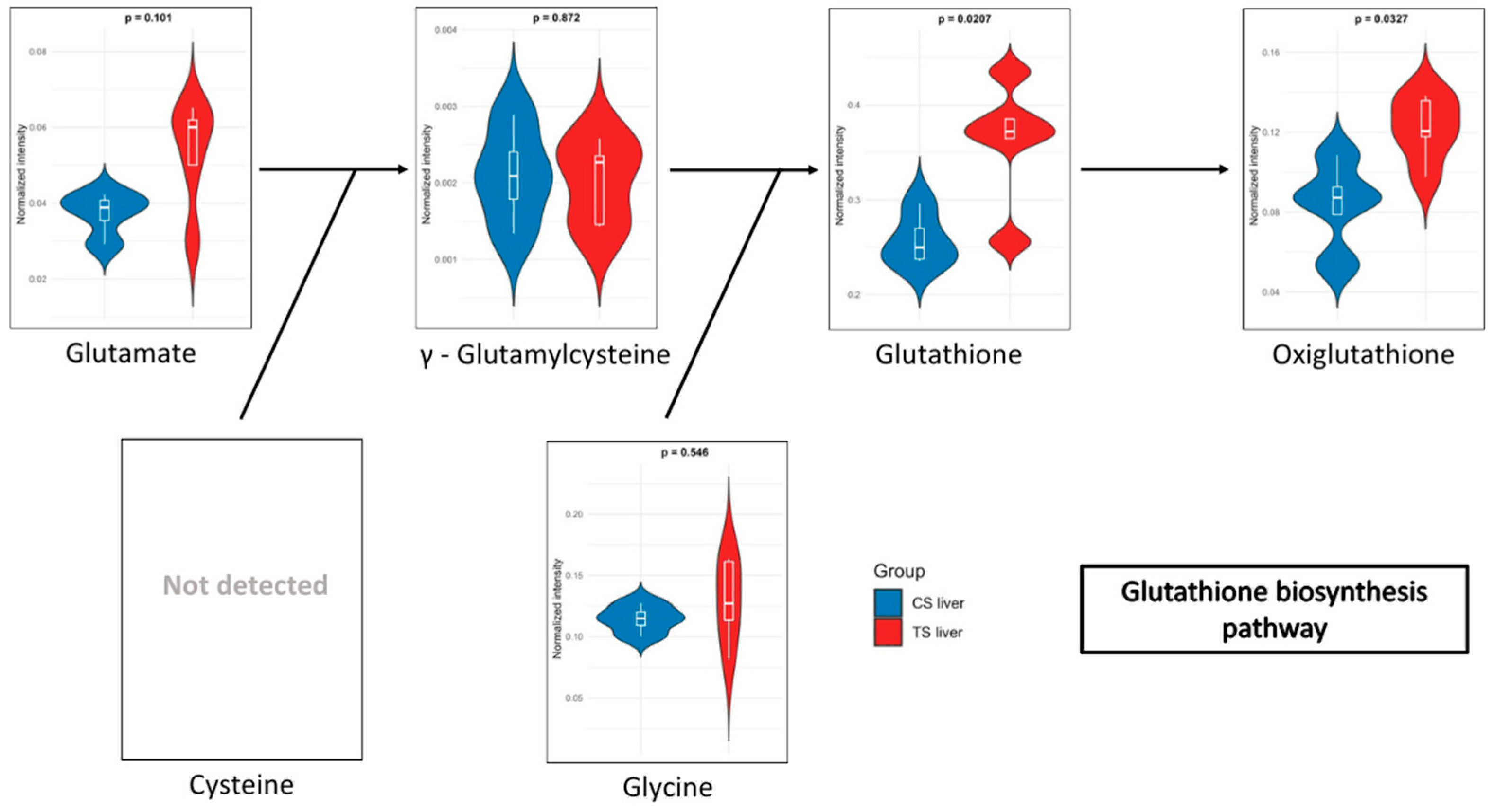 Biomedicines 13 00949 g006