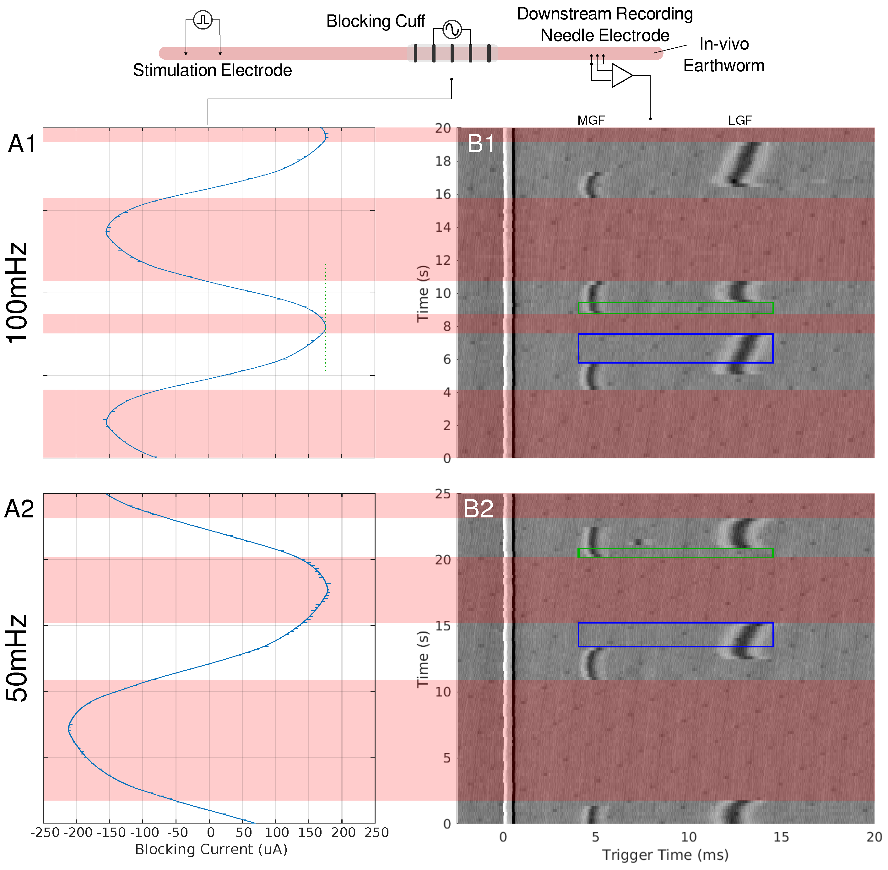 Biomedicines 13 00954 g001