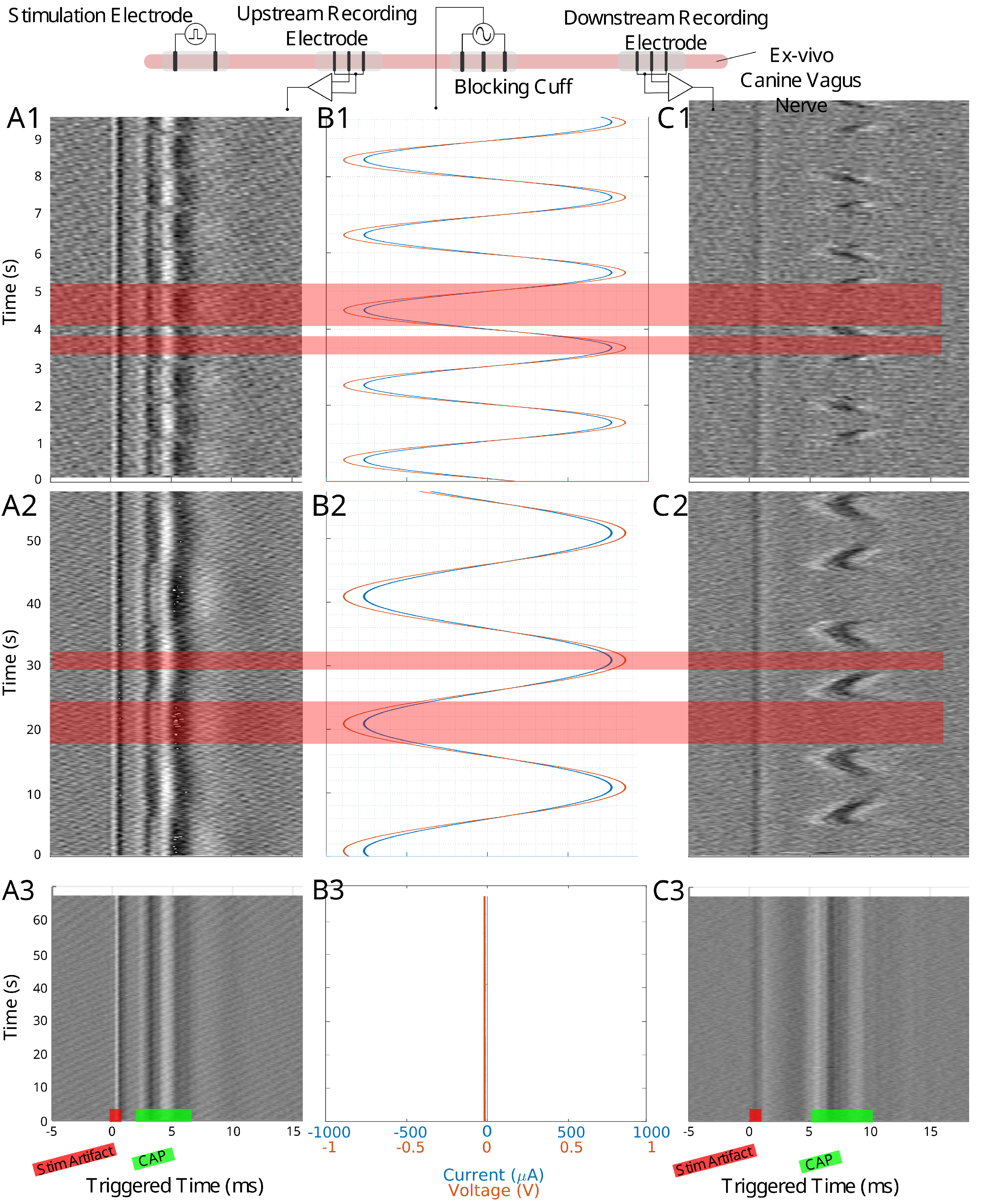 Biomedicines 13 00954 g002