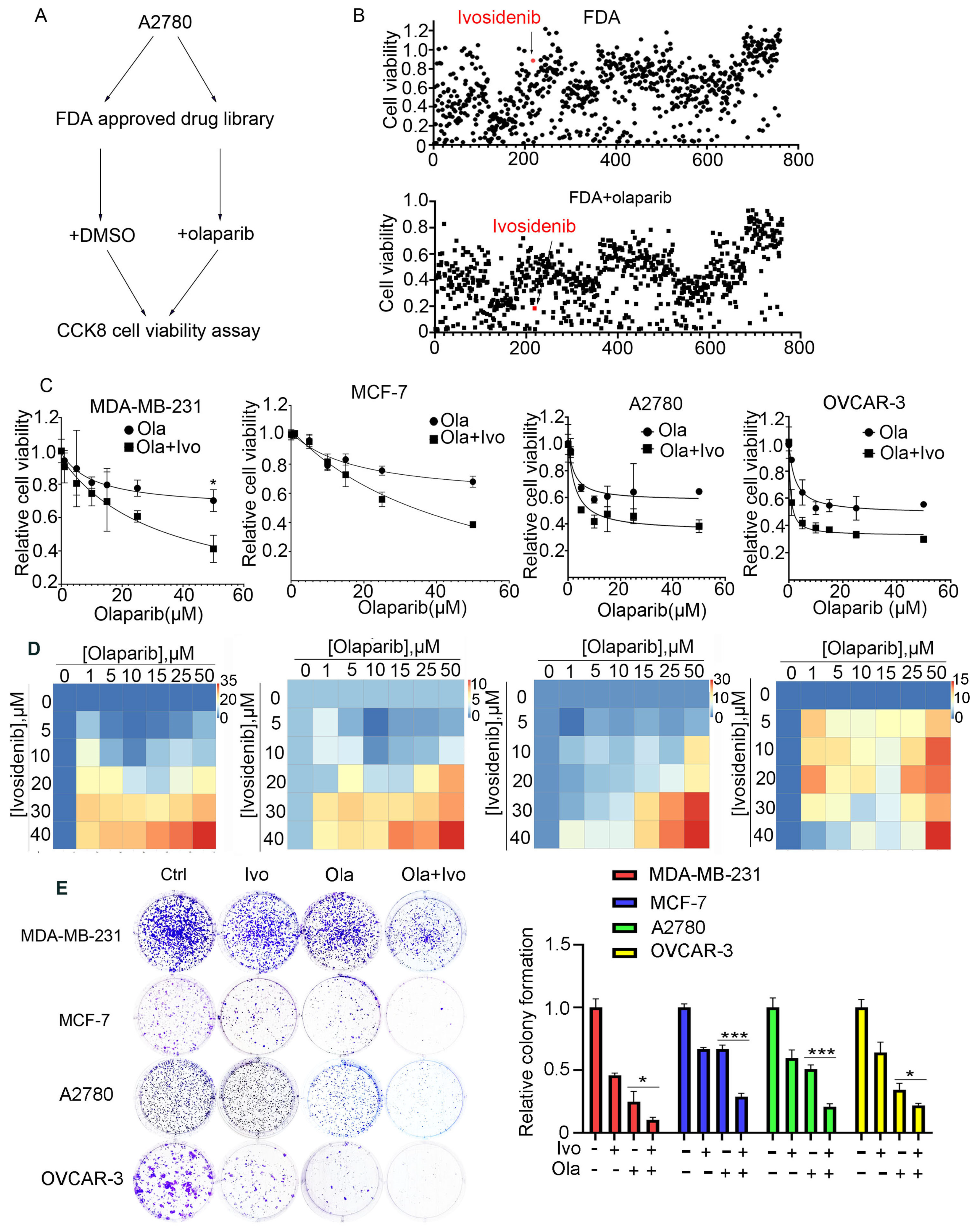 Biomedicines 13 00958 g001