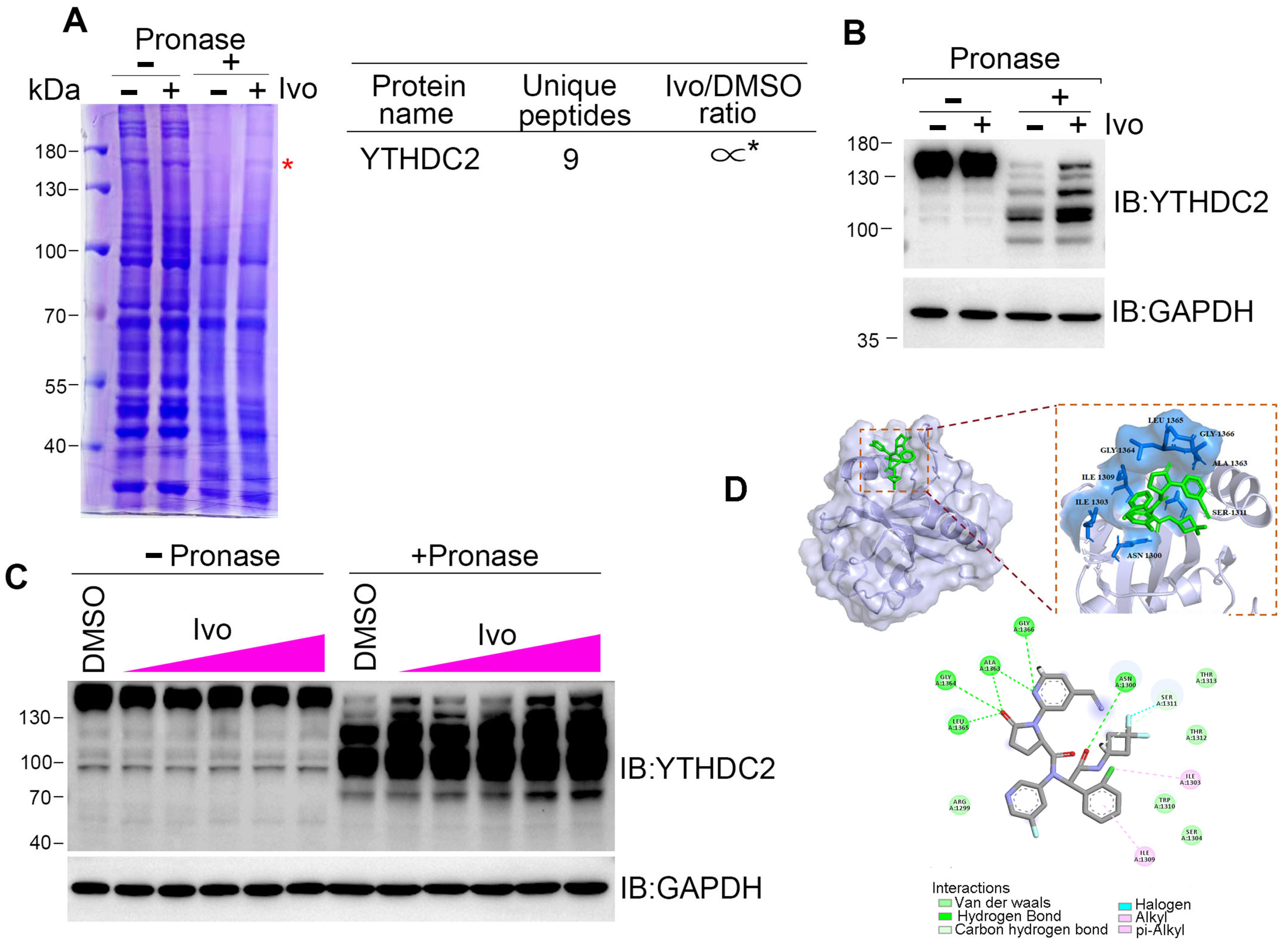 Biomedicines 13 00958 g004