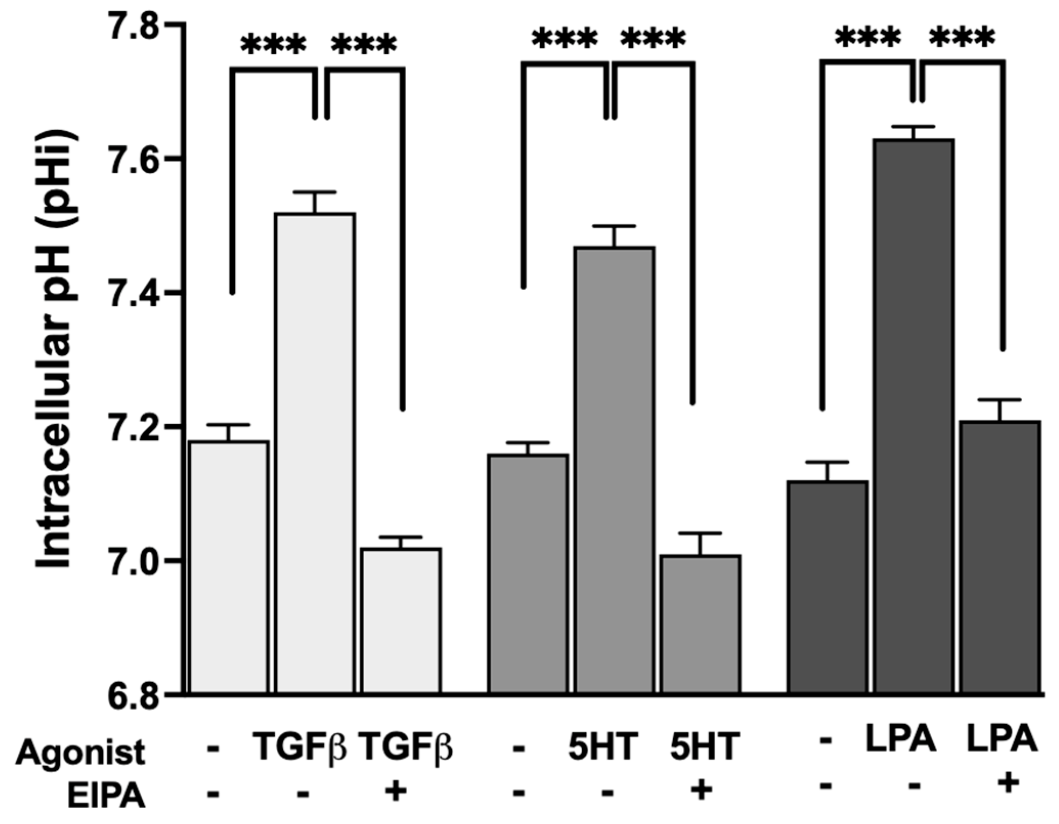 Biomedicines 13 00959 g002