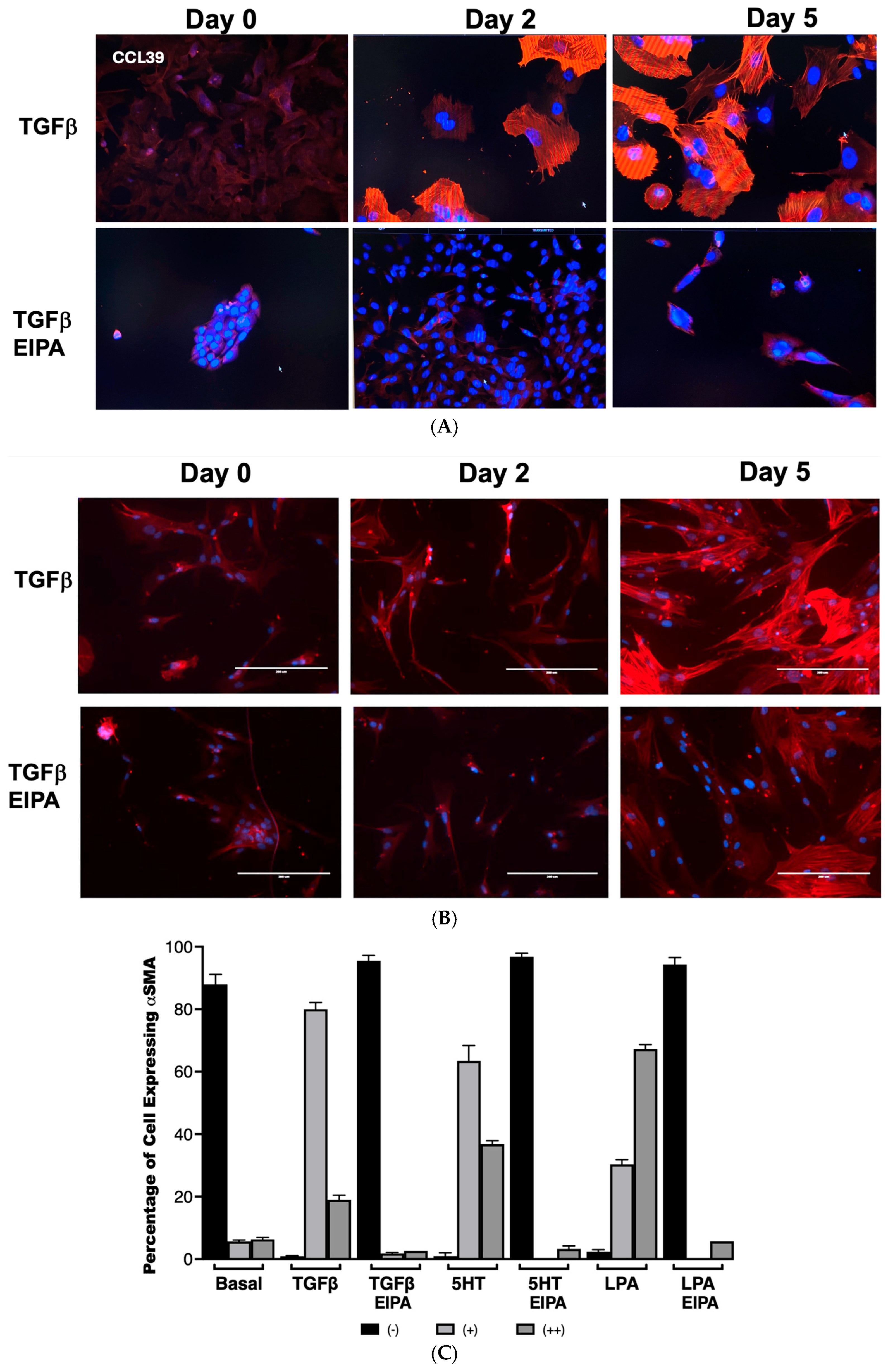 Biomedicines 13 00959 g003