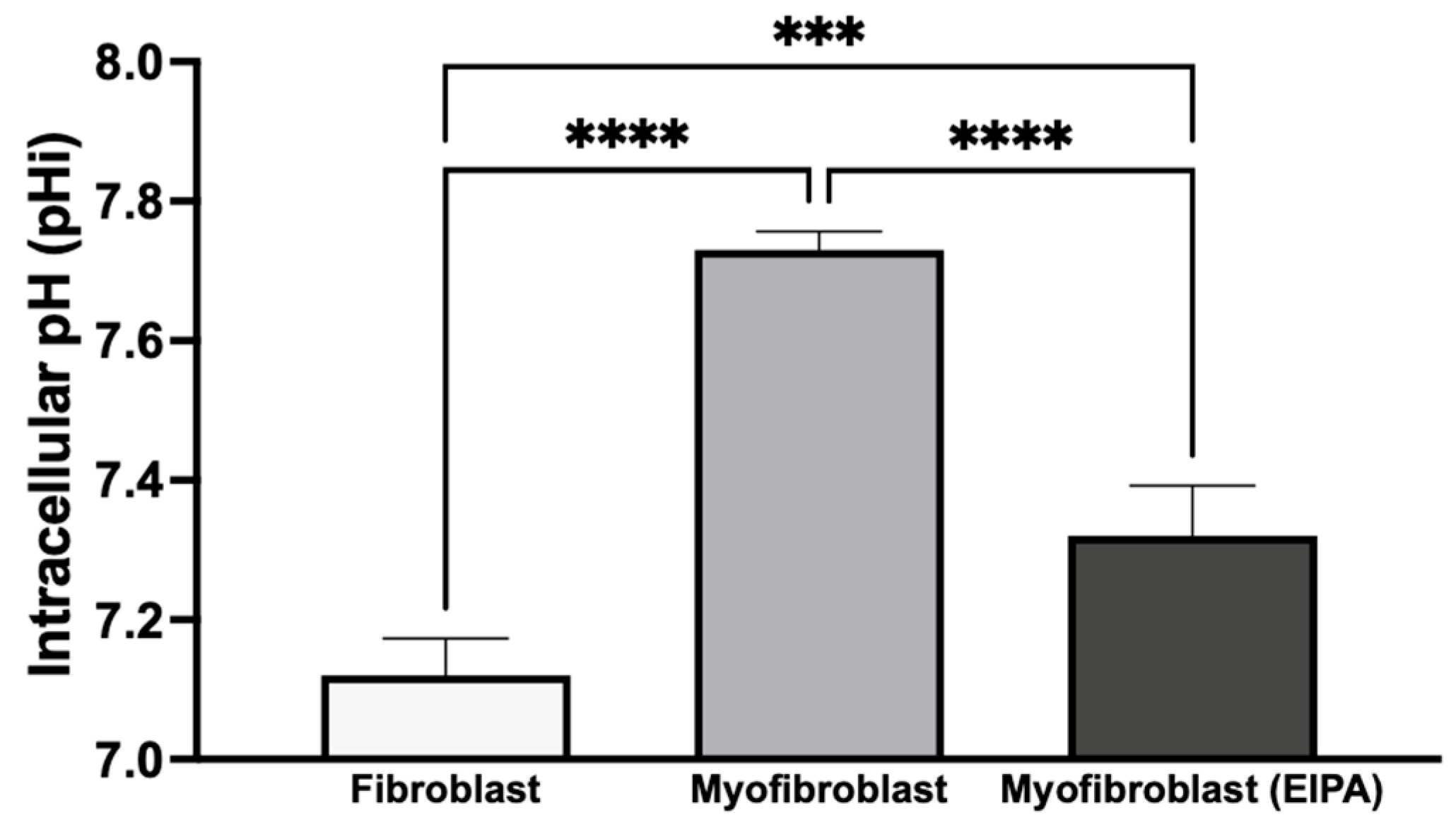 Biomedicines 13 00959 g004