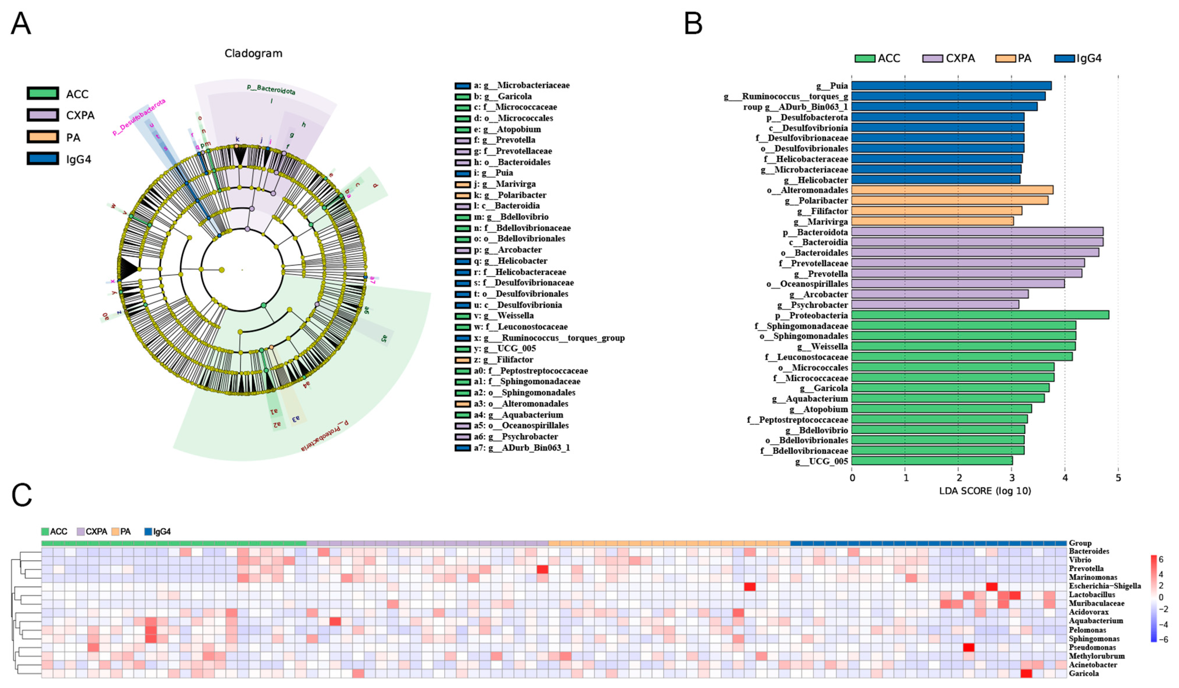 Biomedicines 13 00960 g002