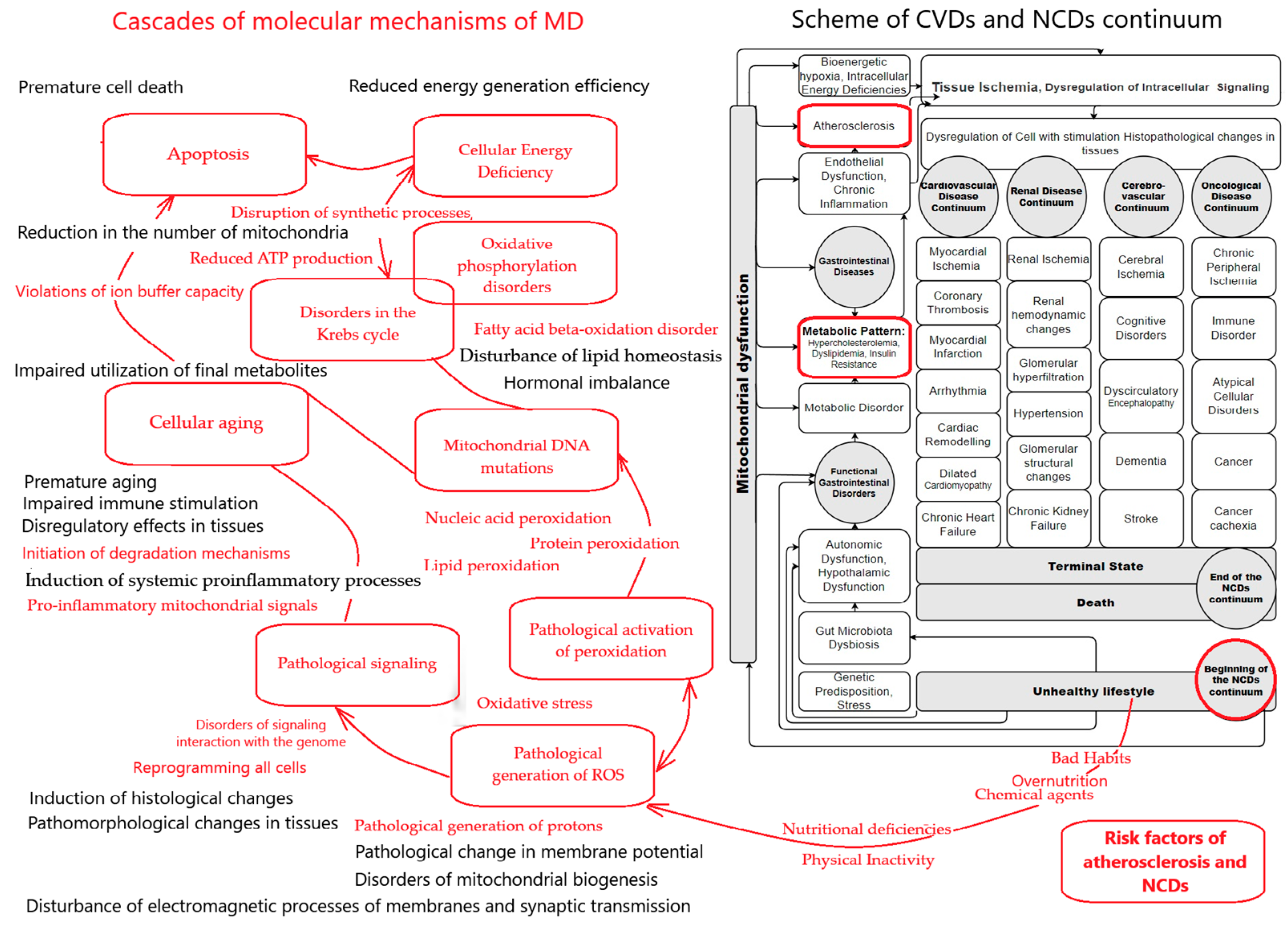 Biomedicines 13 00963 g002 Biomedicines 13 00963 g002