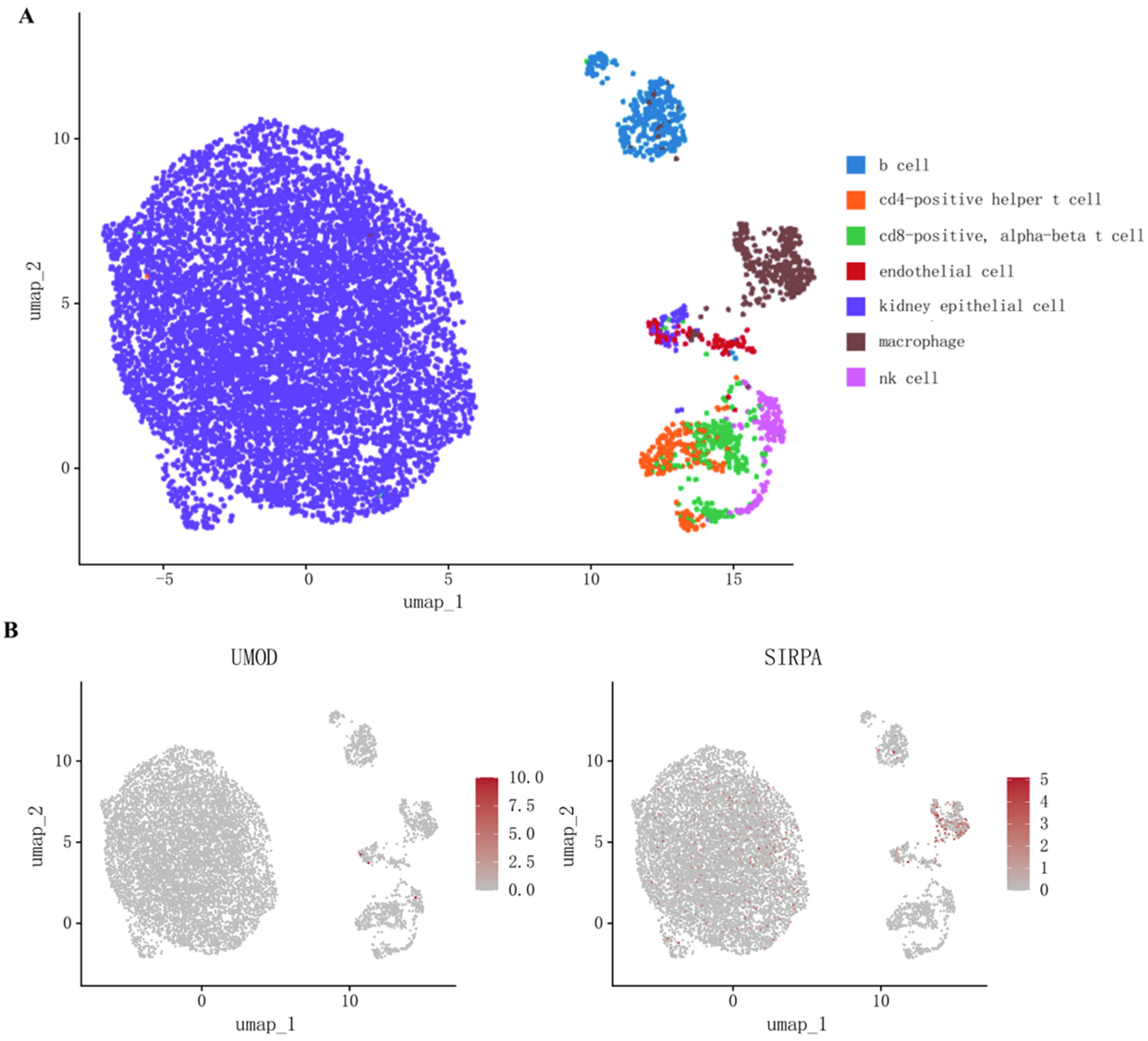 Biomedicines 13 00971 g003