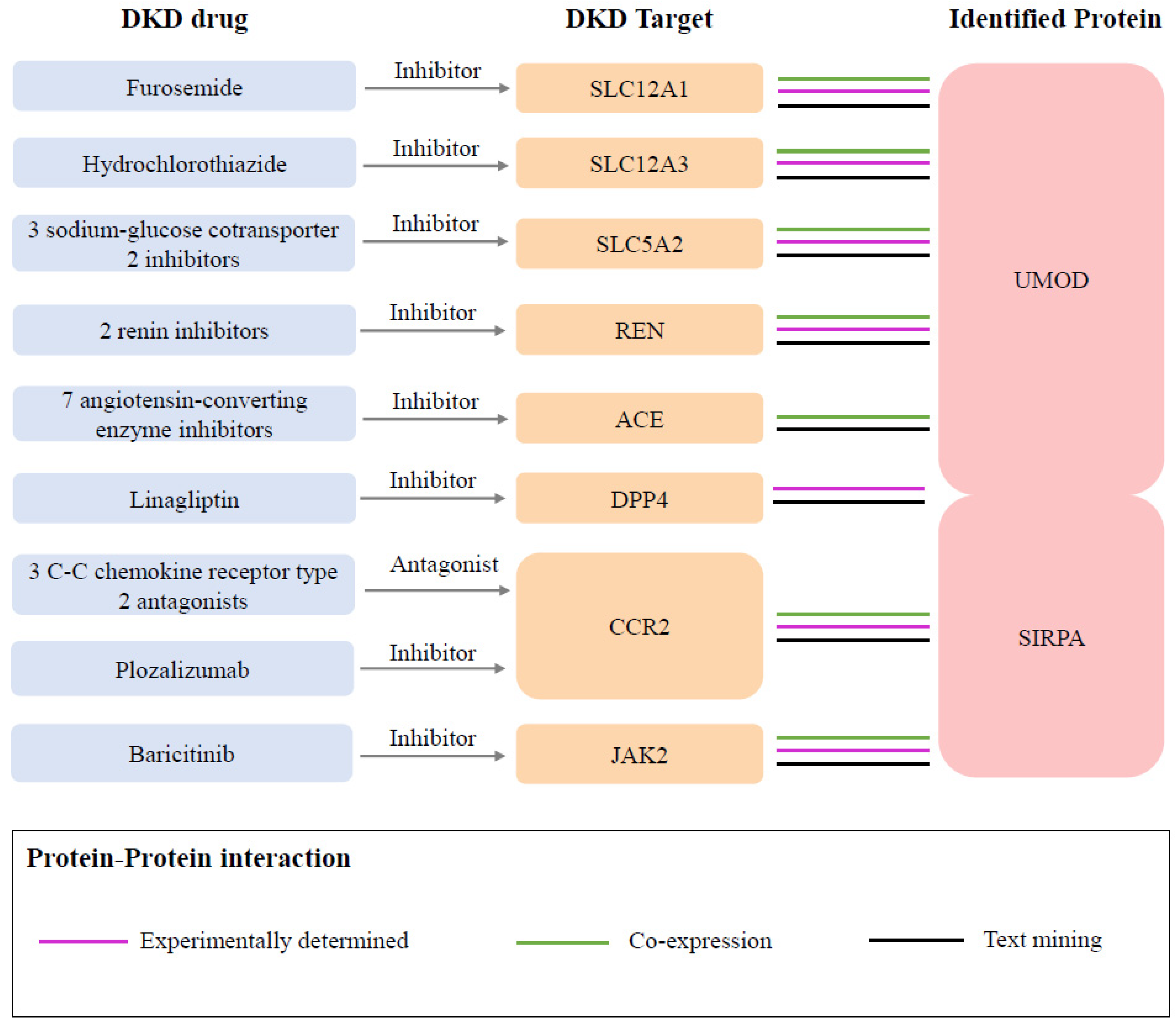 Biomedicines 13 00971 g004