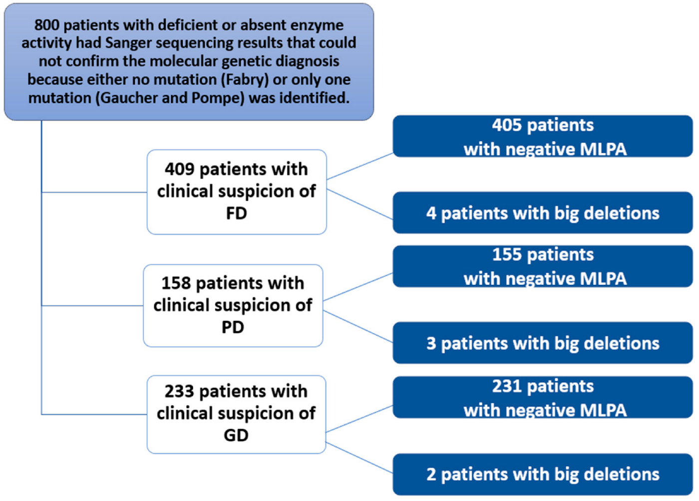 Biomedicines 13 00973 g002