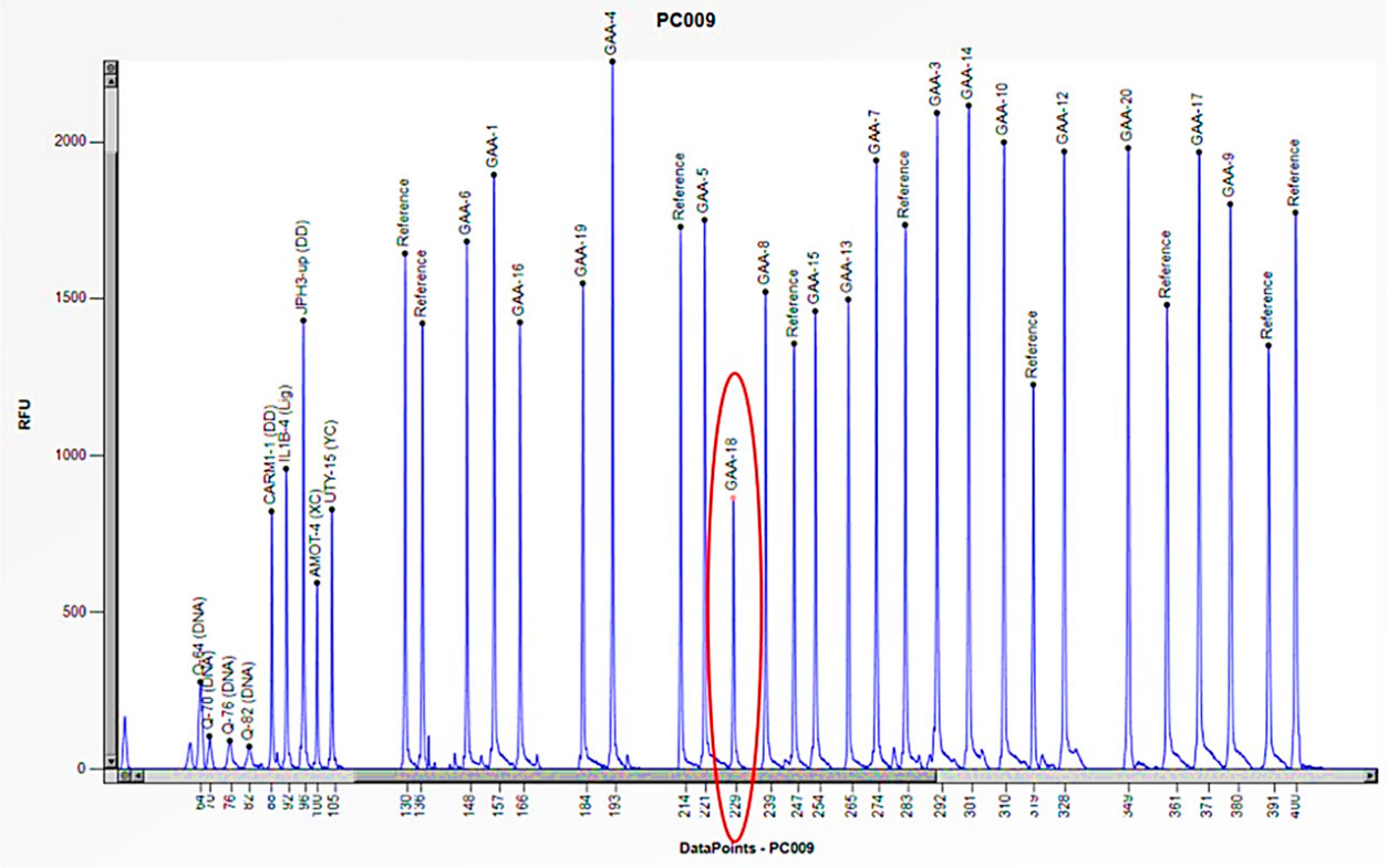 Biomedicines 13 00973 g009