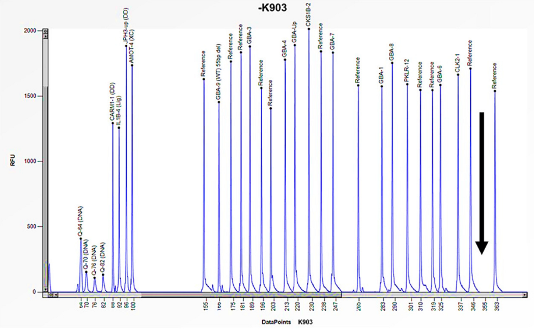 Biomedicines 13 00973 g010