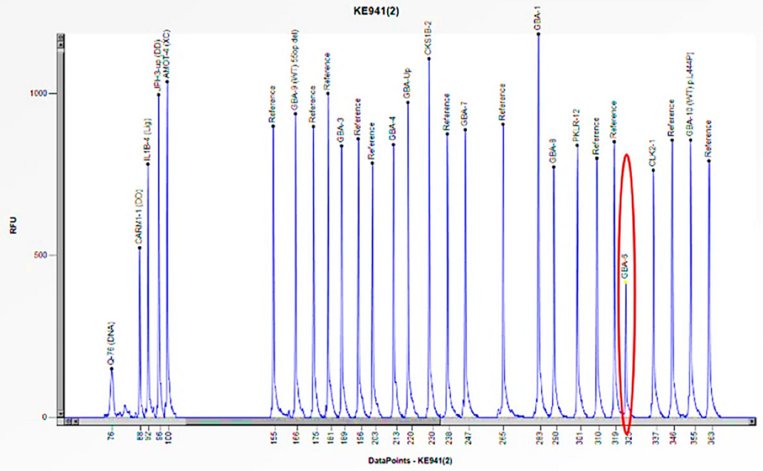 Biomedicines 13 00973 g012