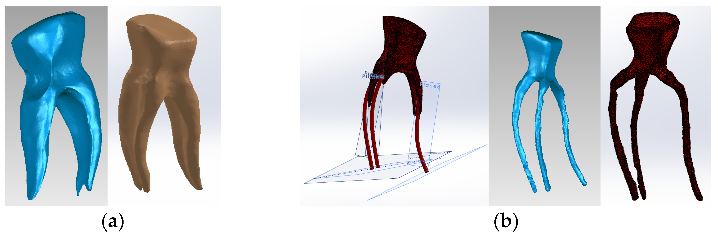 Biomedicines 13 00974 g003