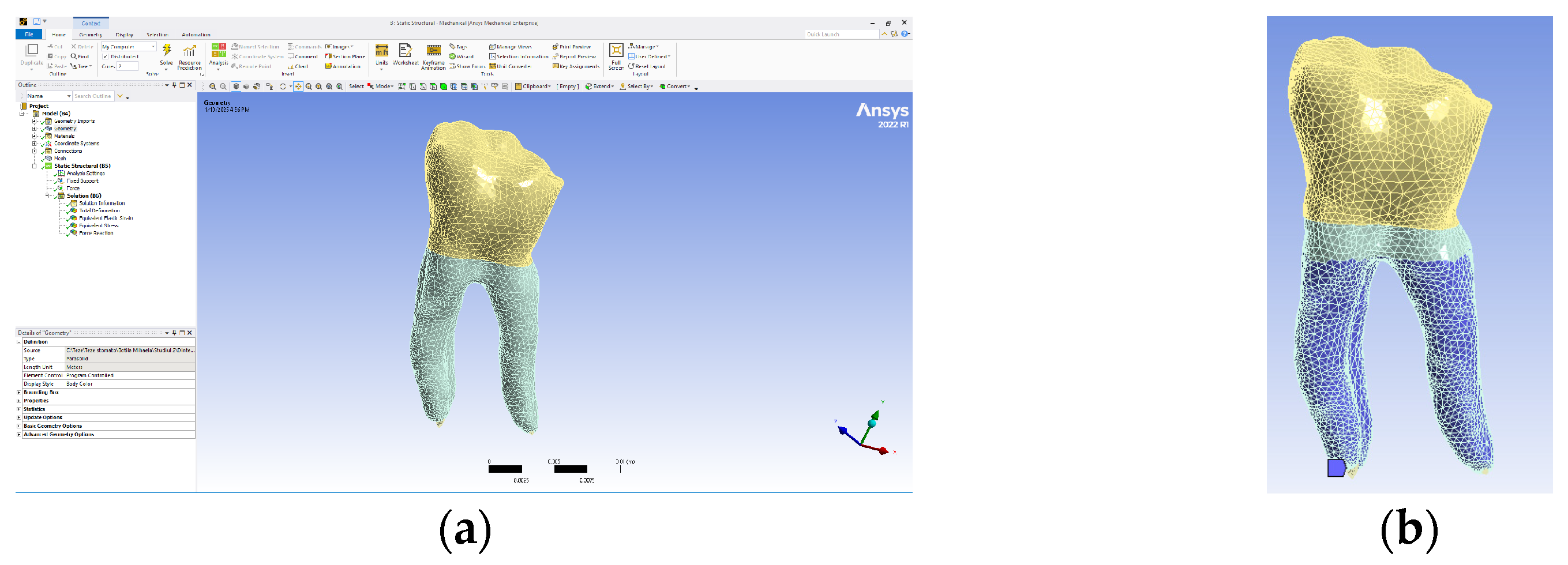 Biomedicines 13 00974 g012