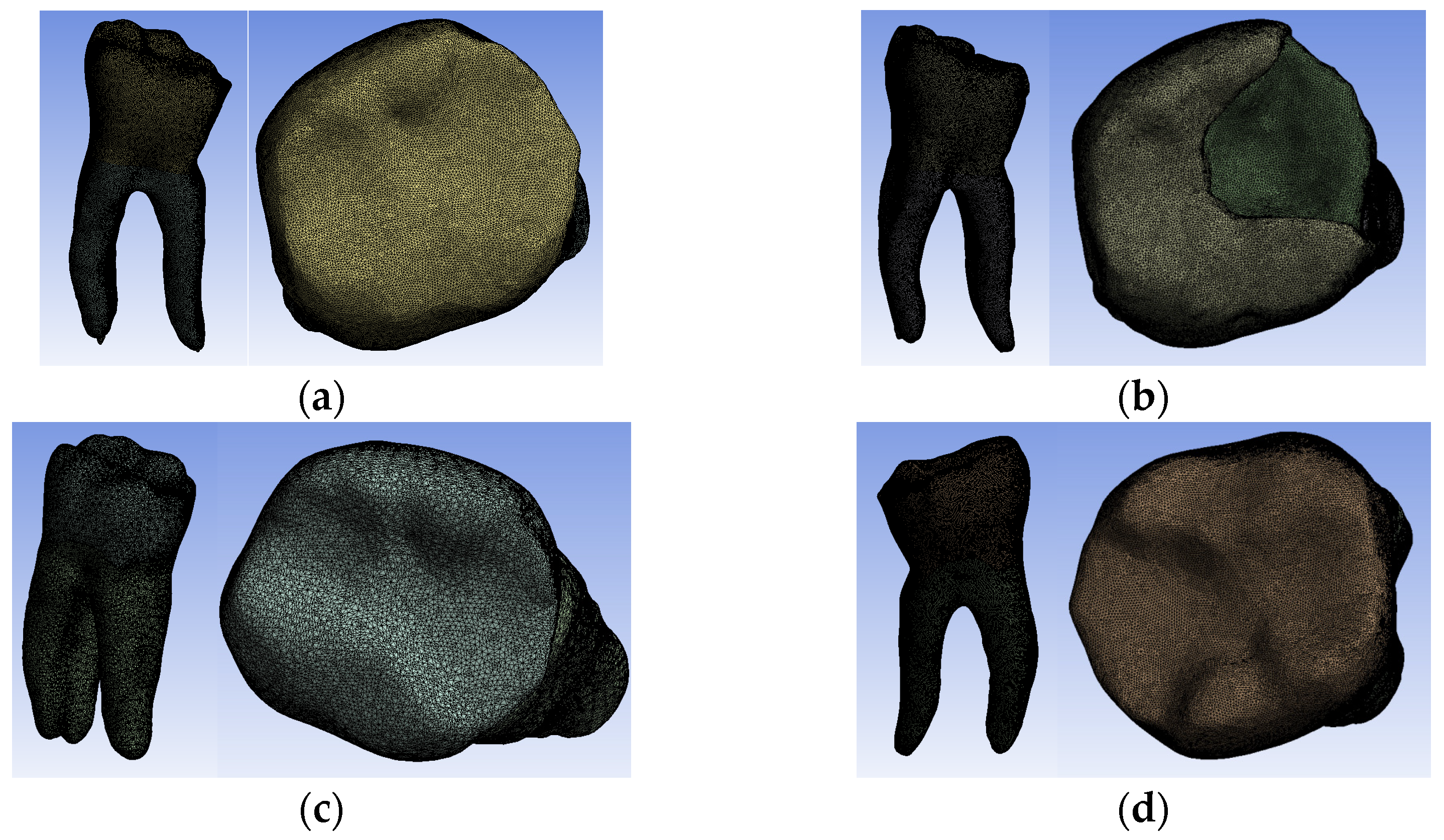 Biomedicines 13 00974 g013