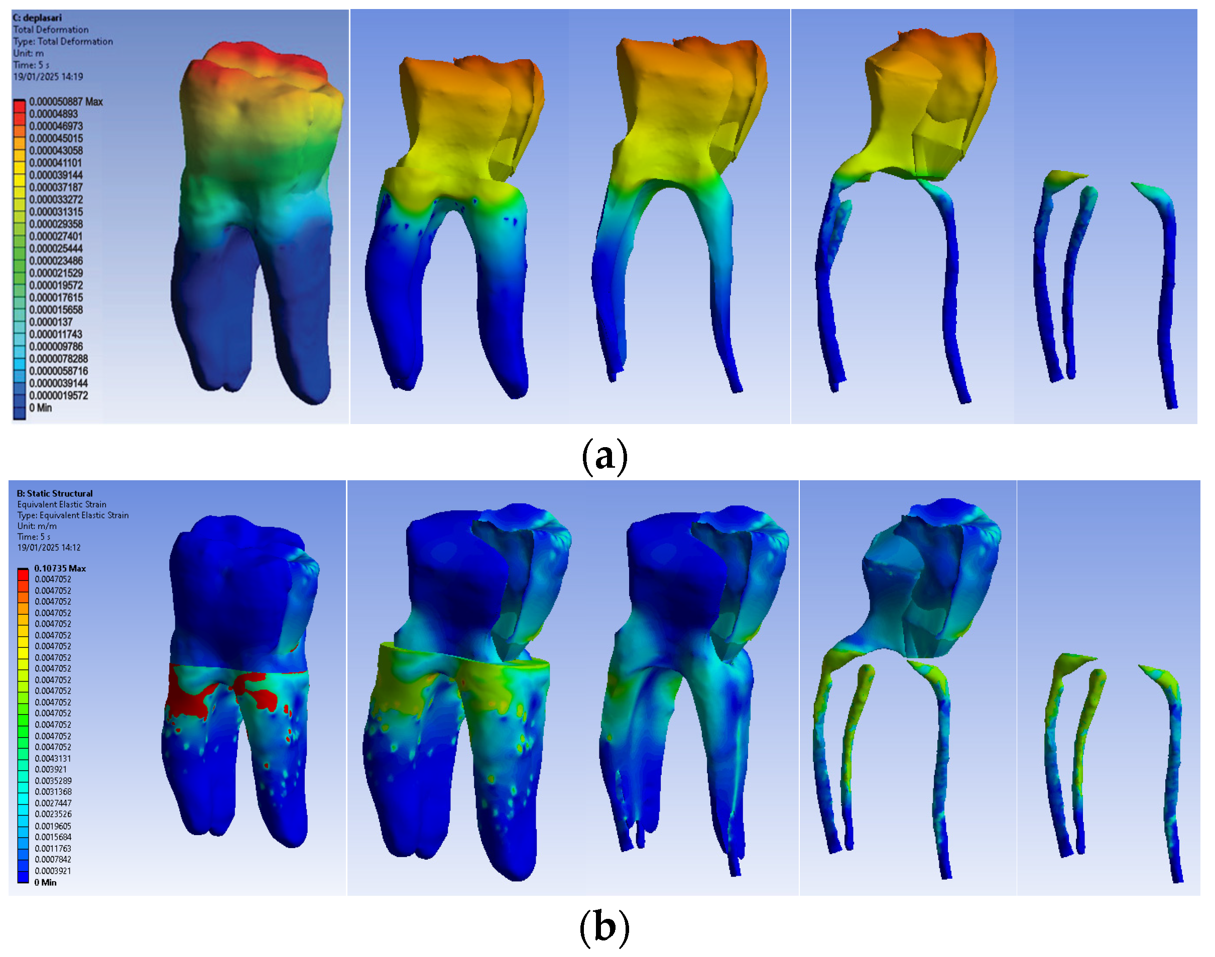 Biomedicines 13 00974 g015a