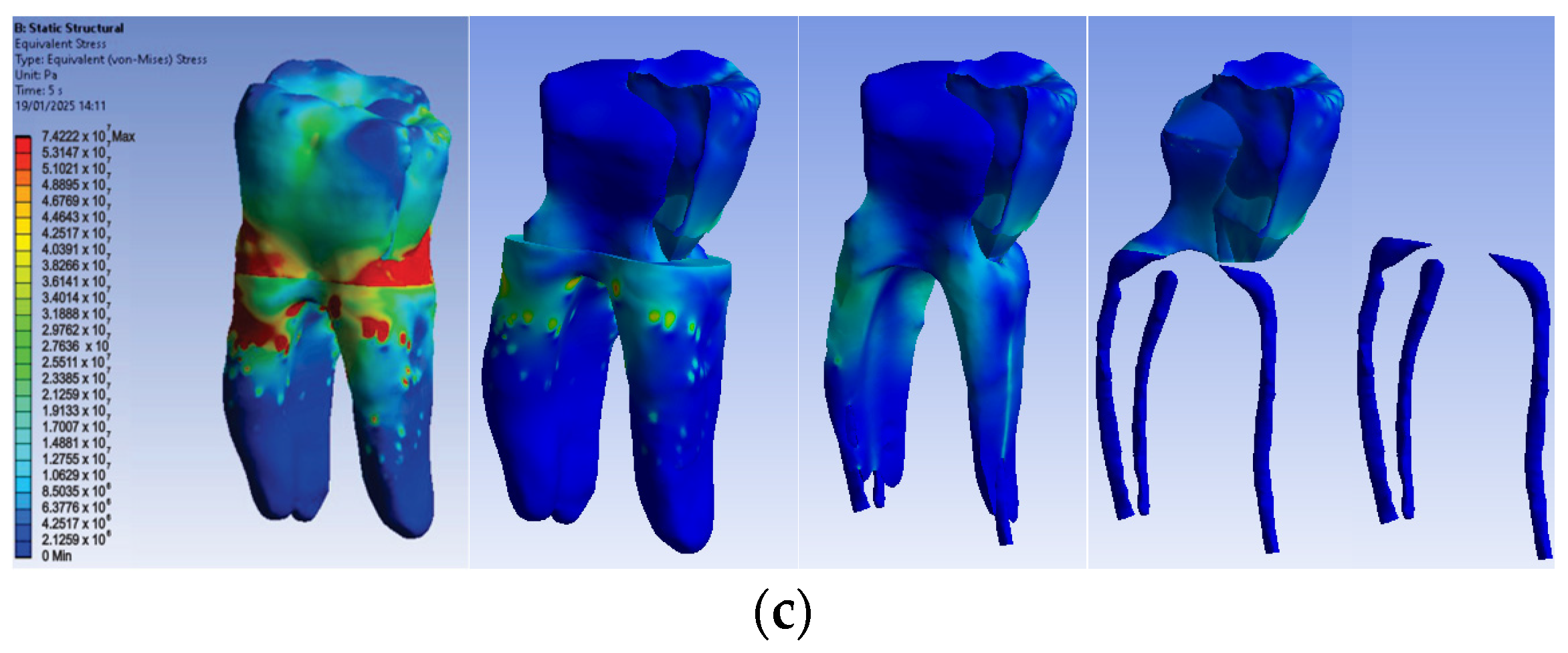 Biomedicines 13 00974 g015b