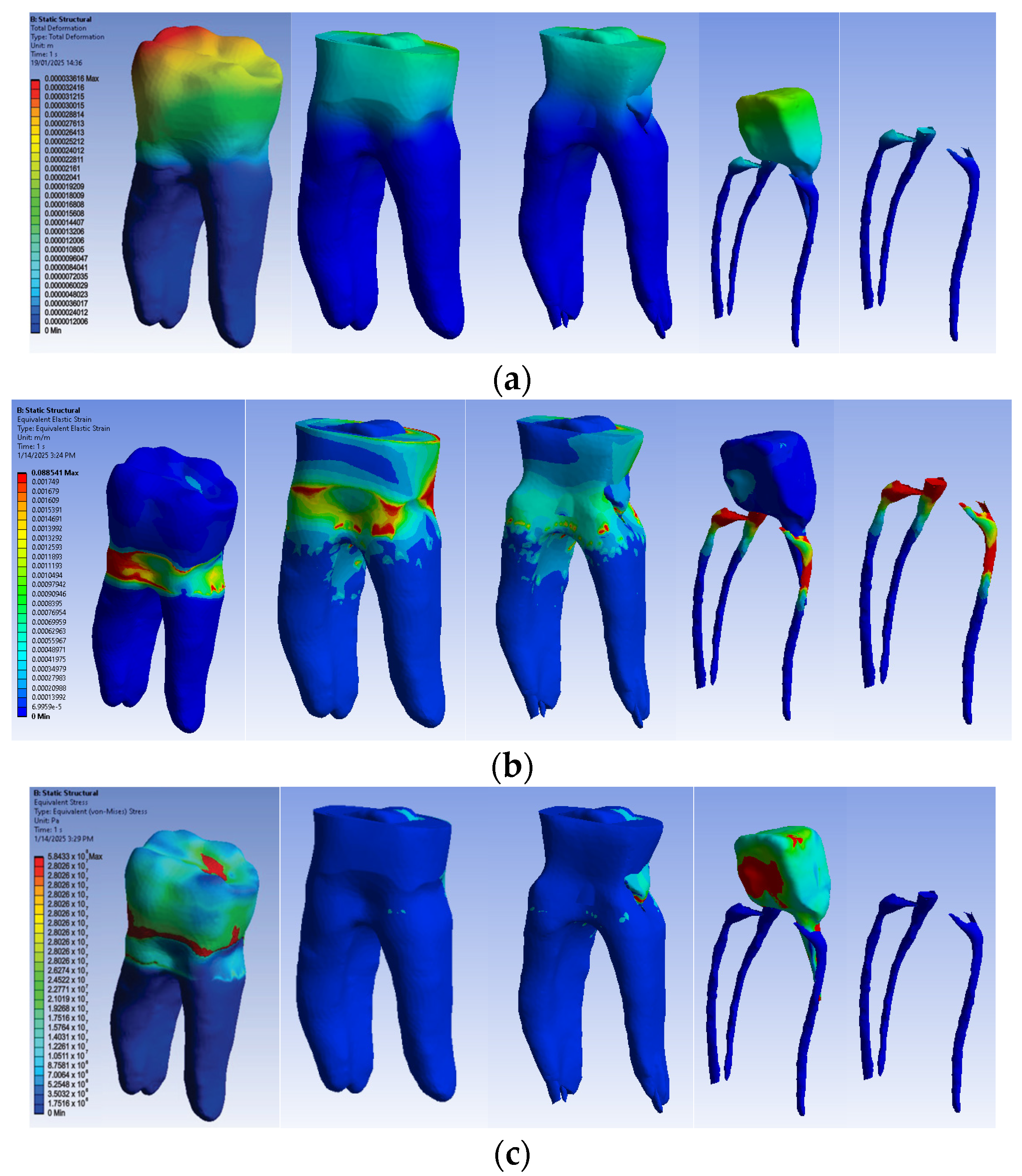 Biomedicines 13 00974 g017