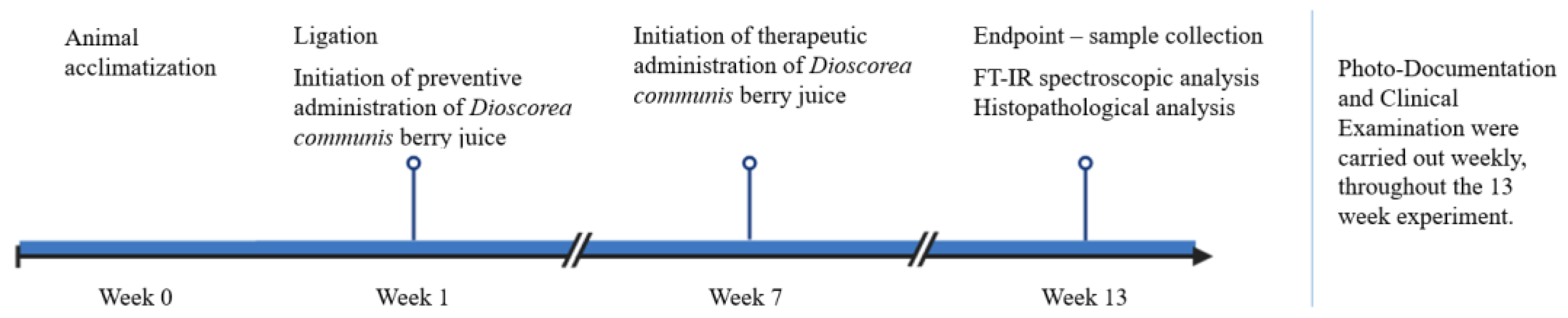 Biomedicines 13 00983 g001
