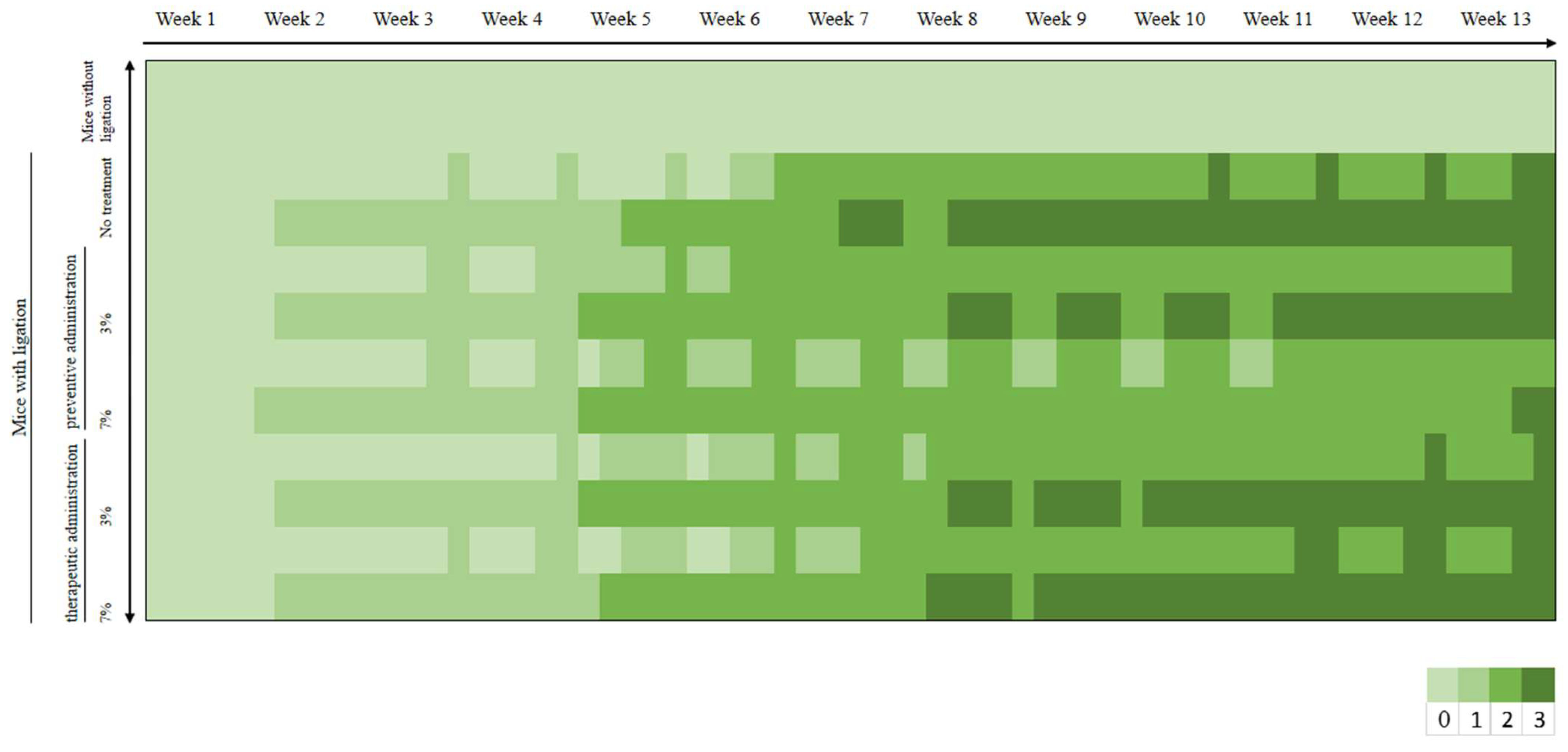 Biomedicines 13 00983 g003