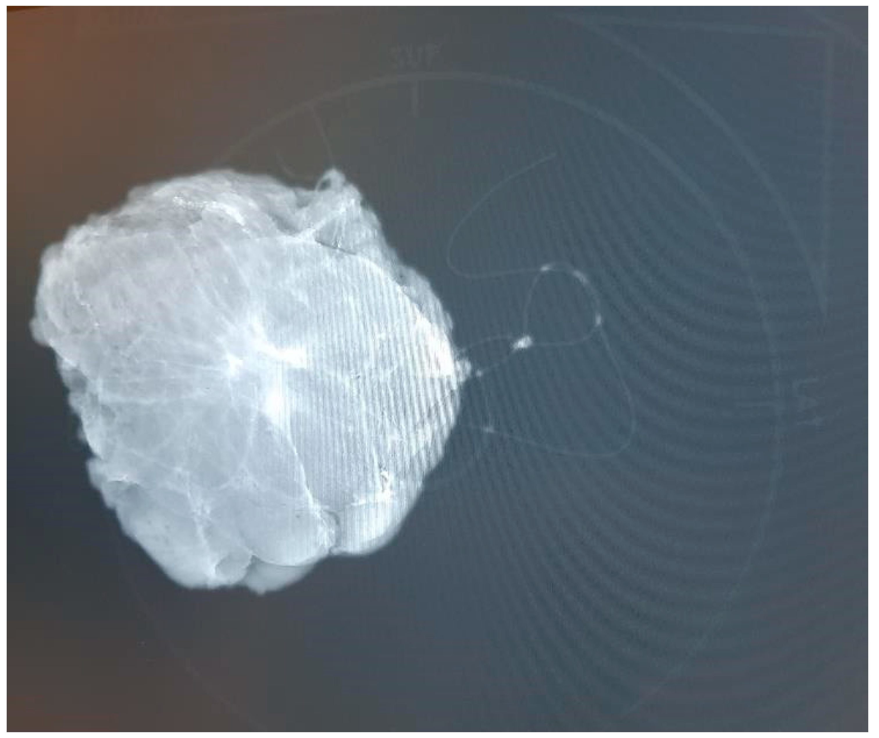 Biomedicines 13 00984 g002