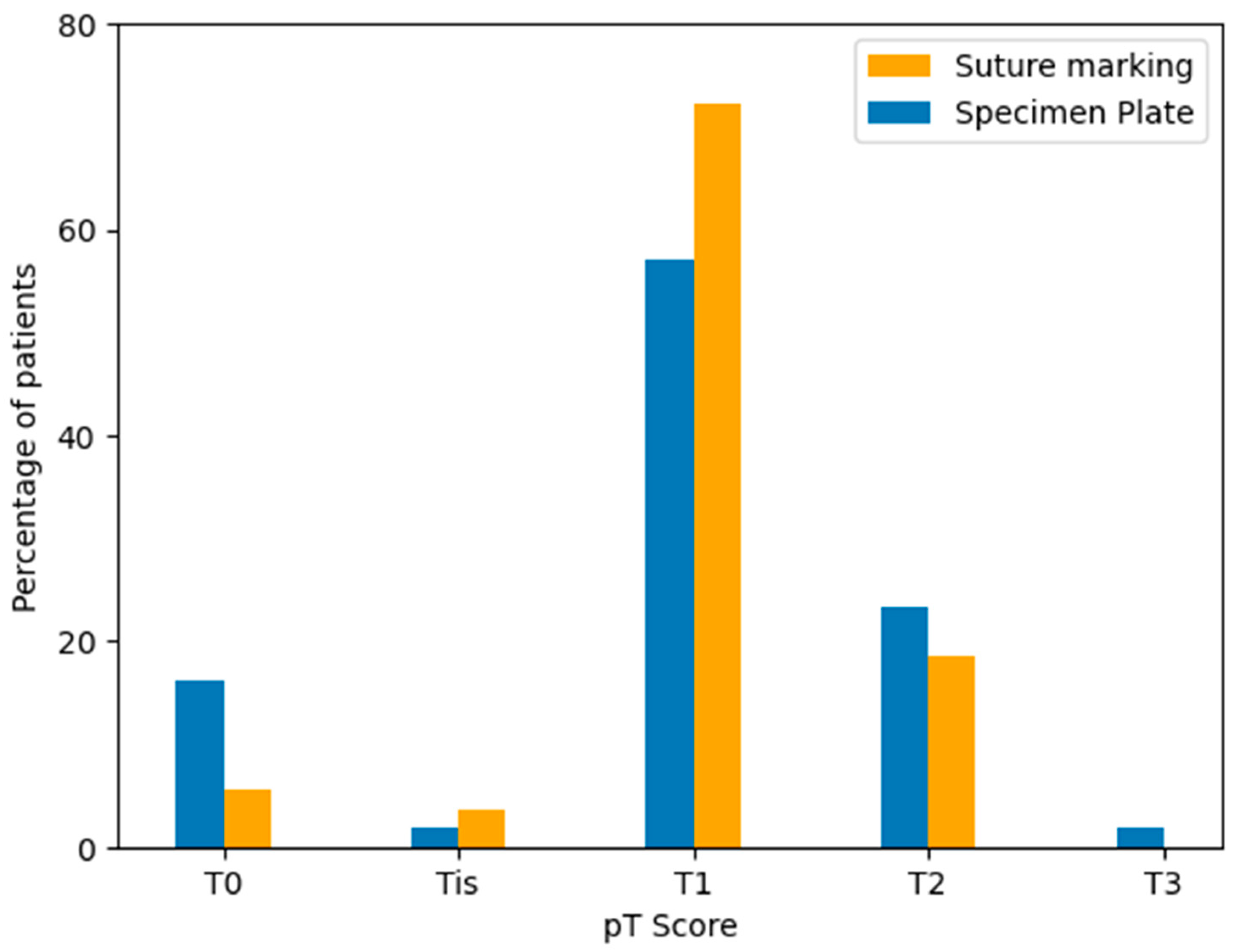 Biomedicines 13 00984 g012