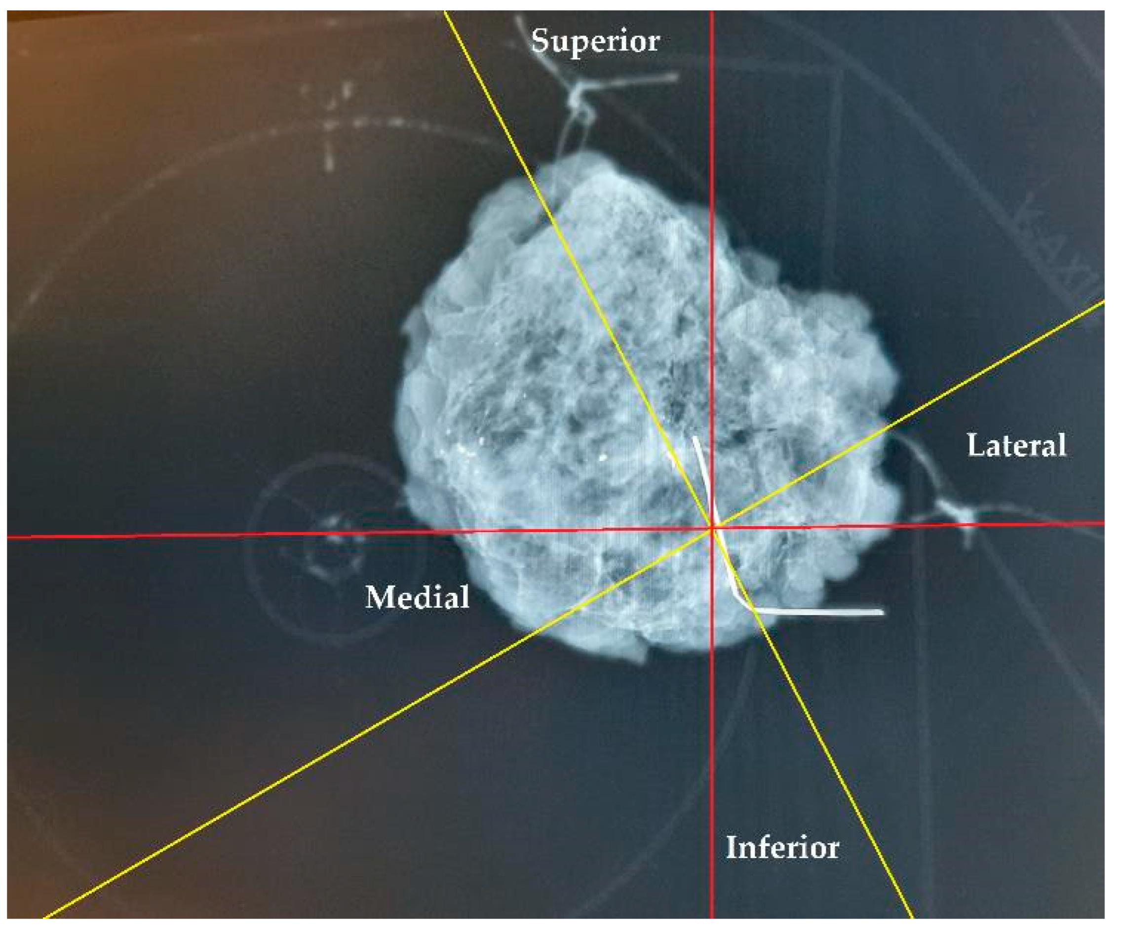 Biomedicines 13 00984 g013
