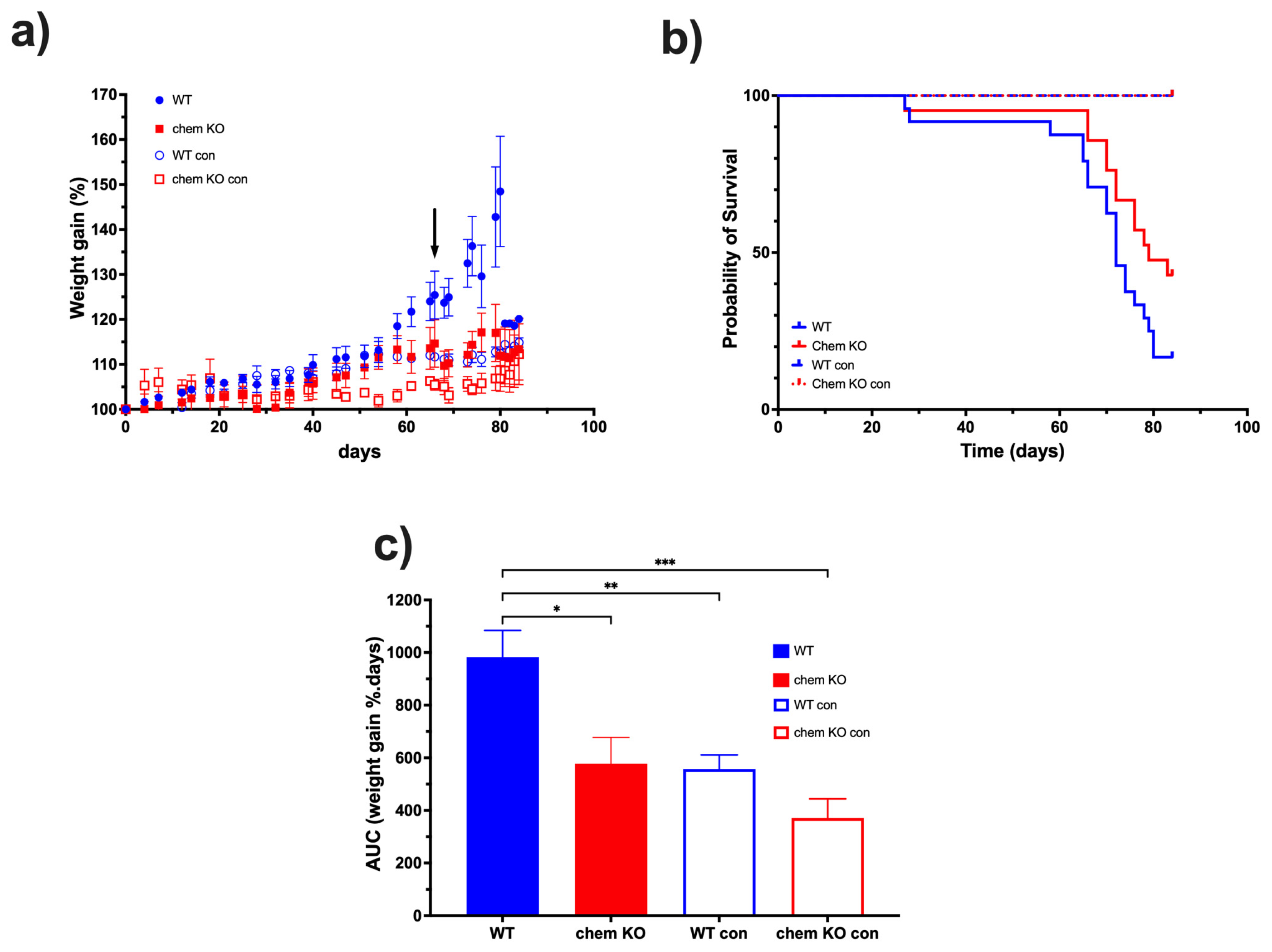 Biomedicines 13 00991 g009