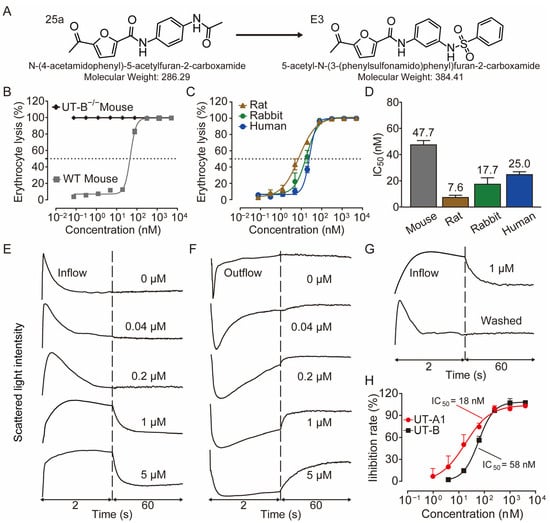 Biomedicines 13 00992 g001