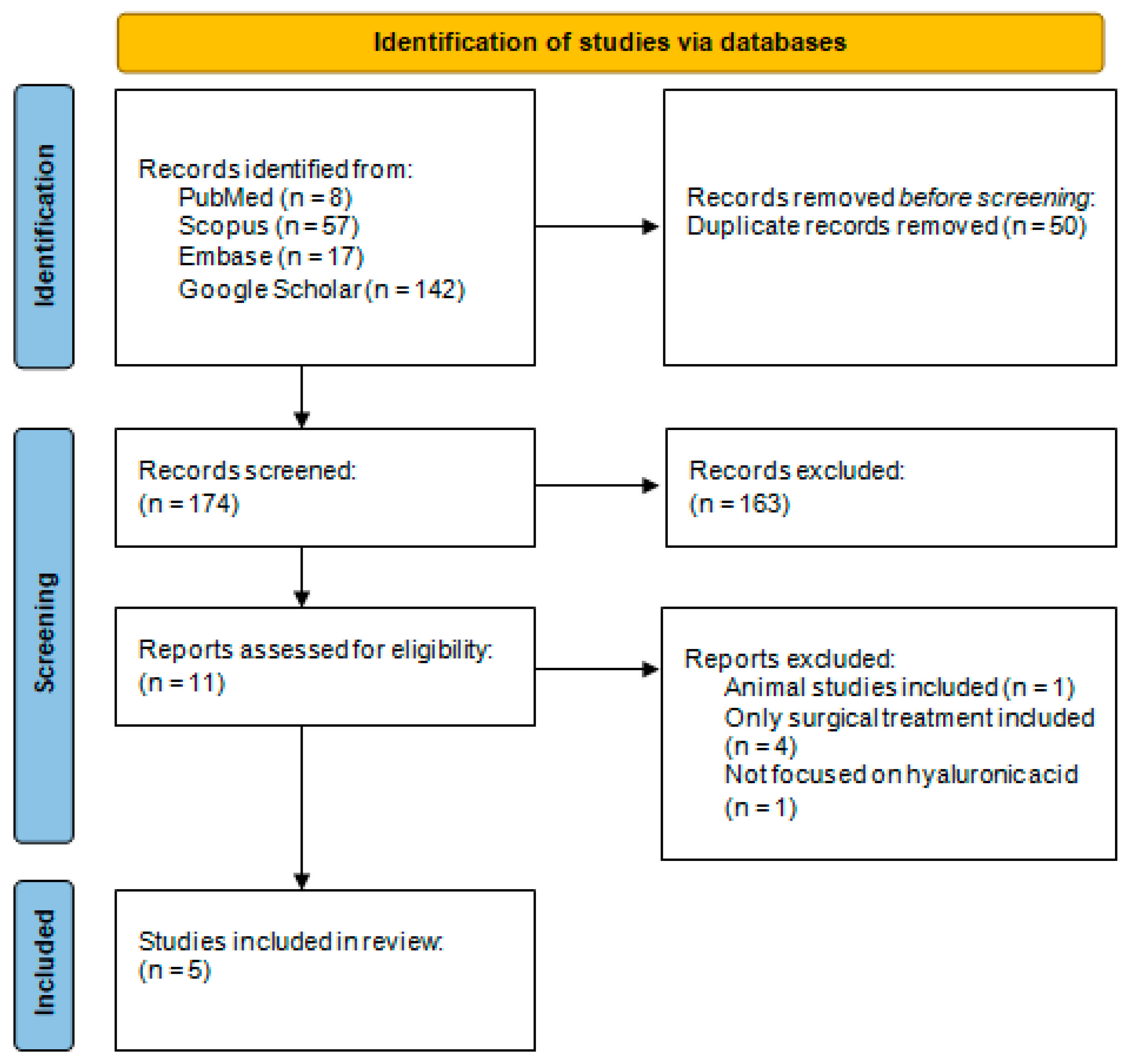 Biomedicines 13 00998 g001
