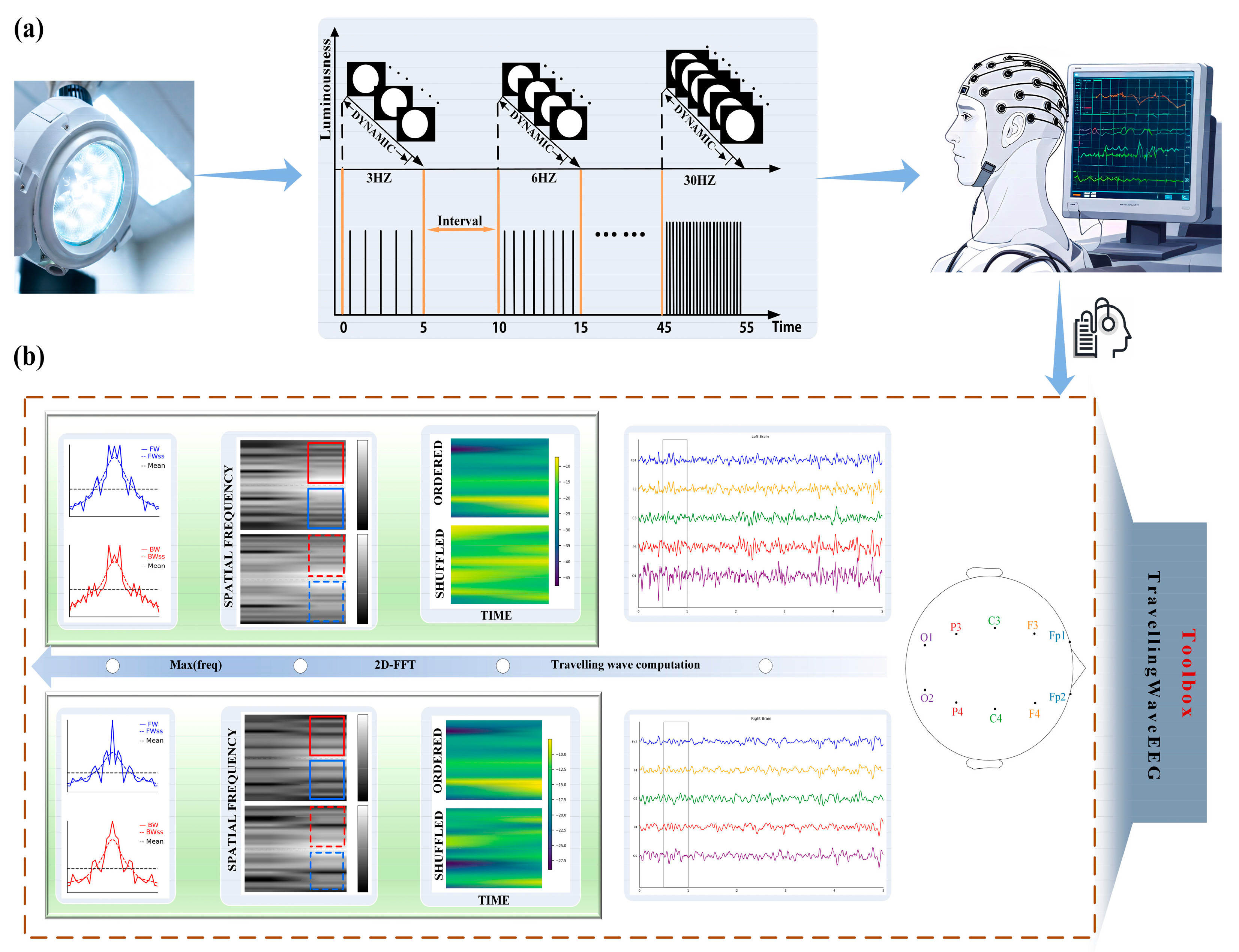 Biomedicines 13 01001 g001