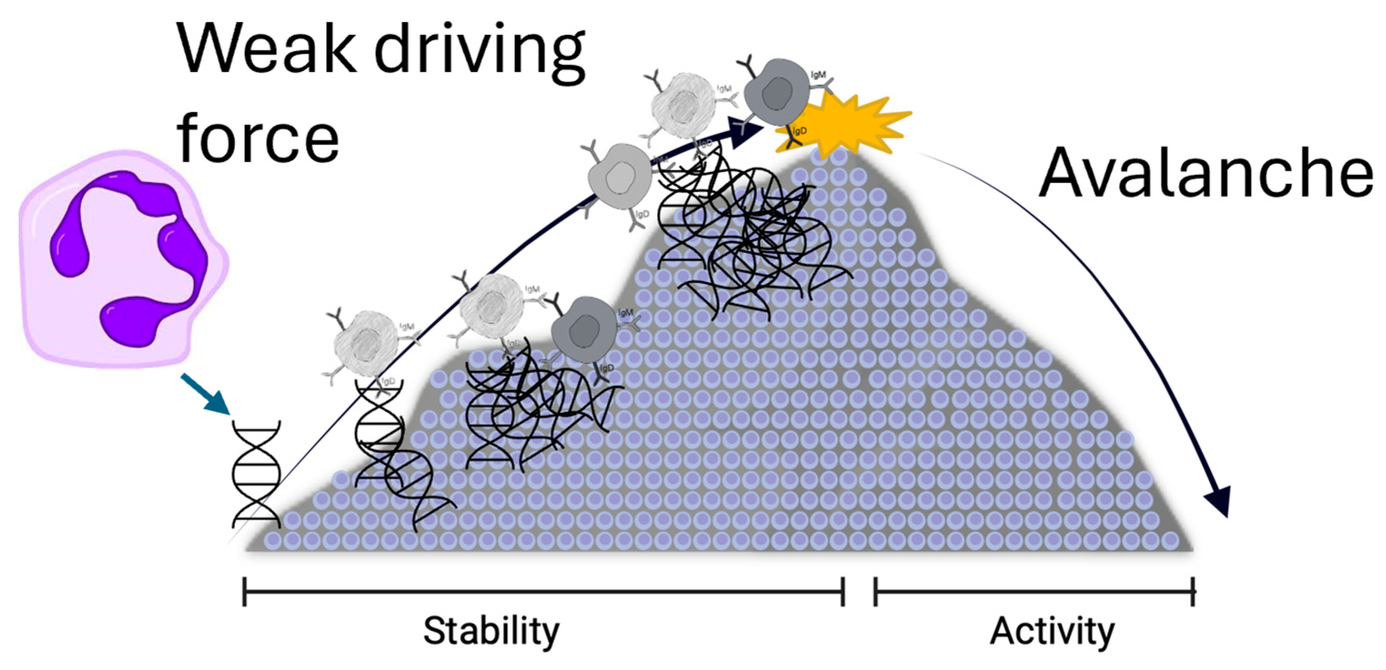Biomedicines 13 01003 g002