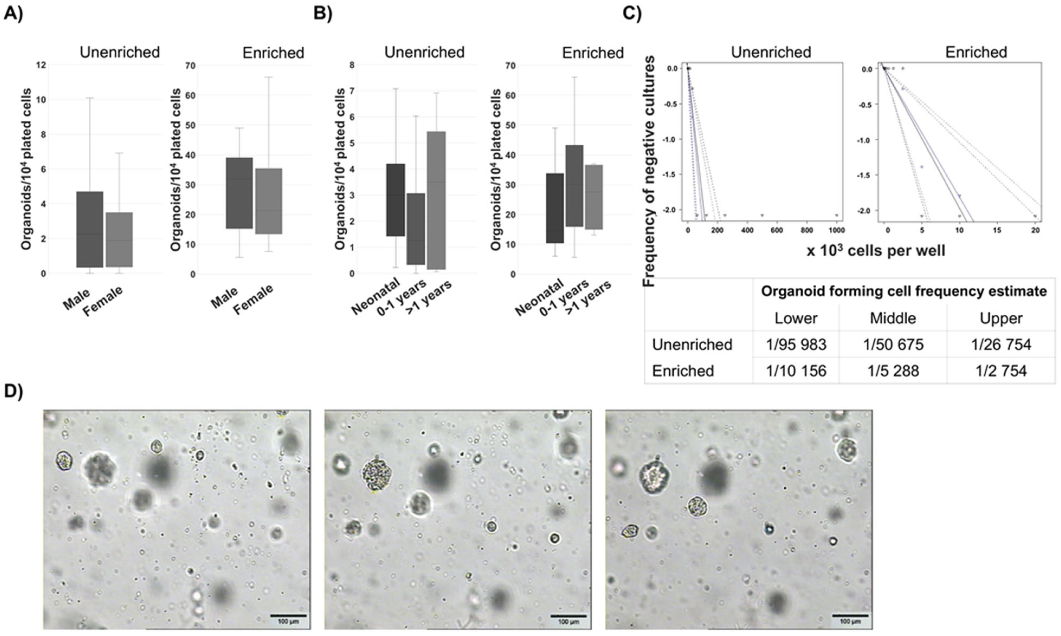 Biomedicines 13 01004 g001