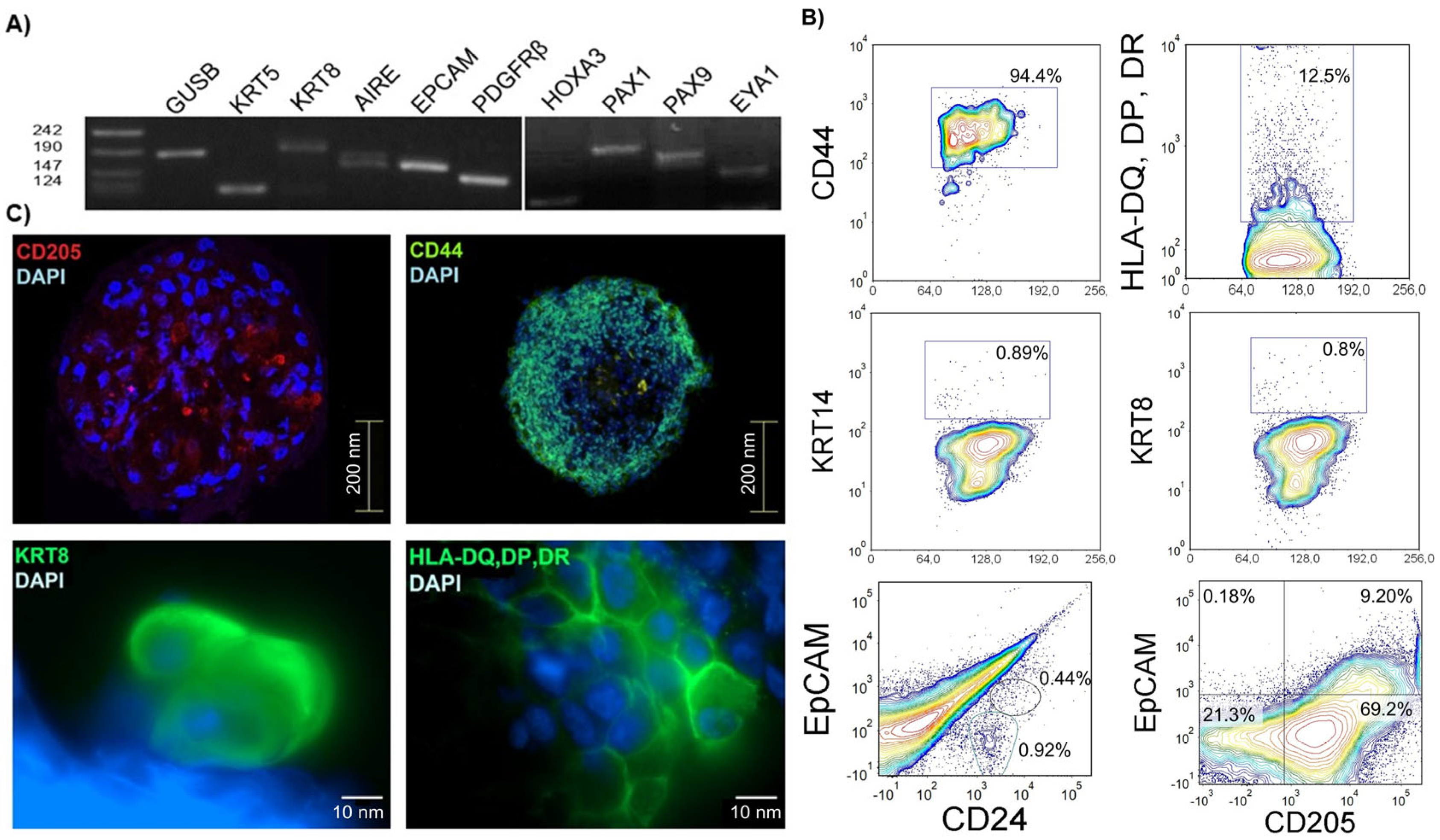 Biomedicines 13 01004 g003