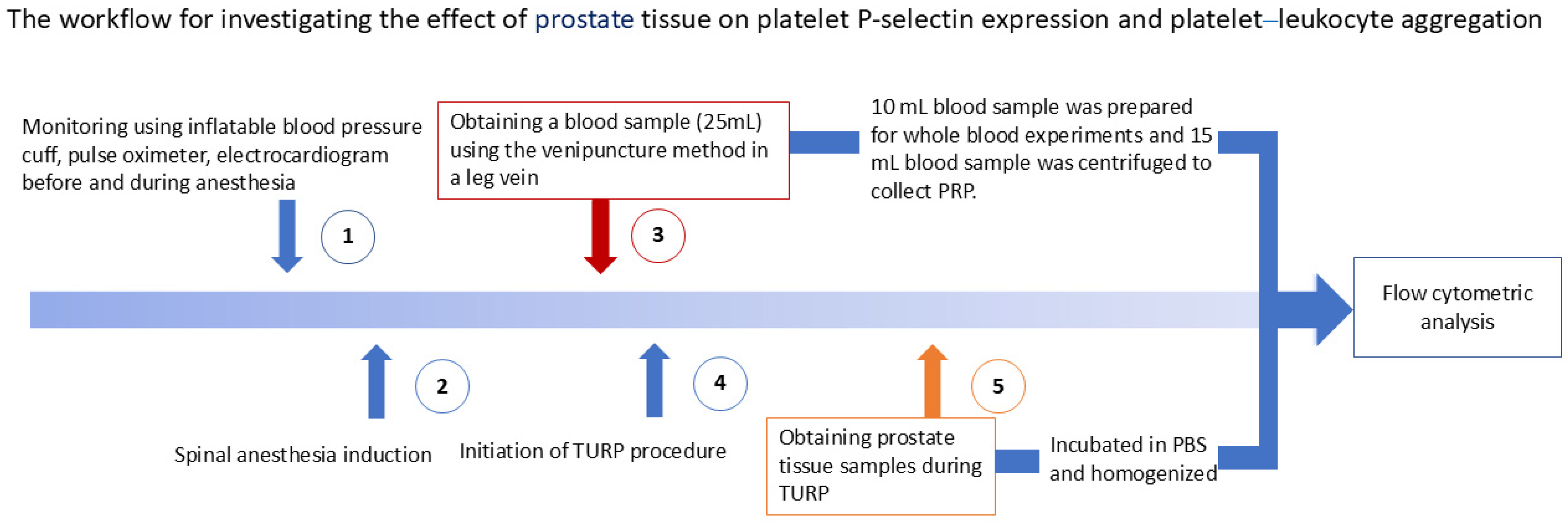 Biomedicines 13 01006 g001 Biomedicines 13 01006 g001