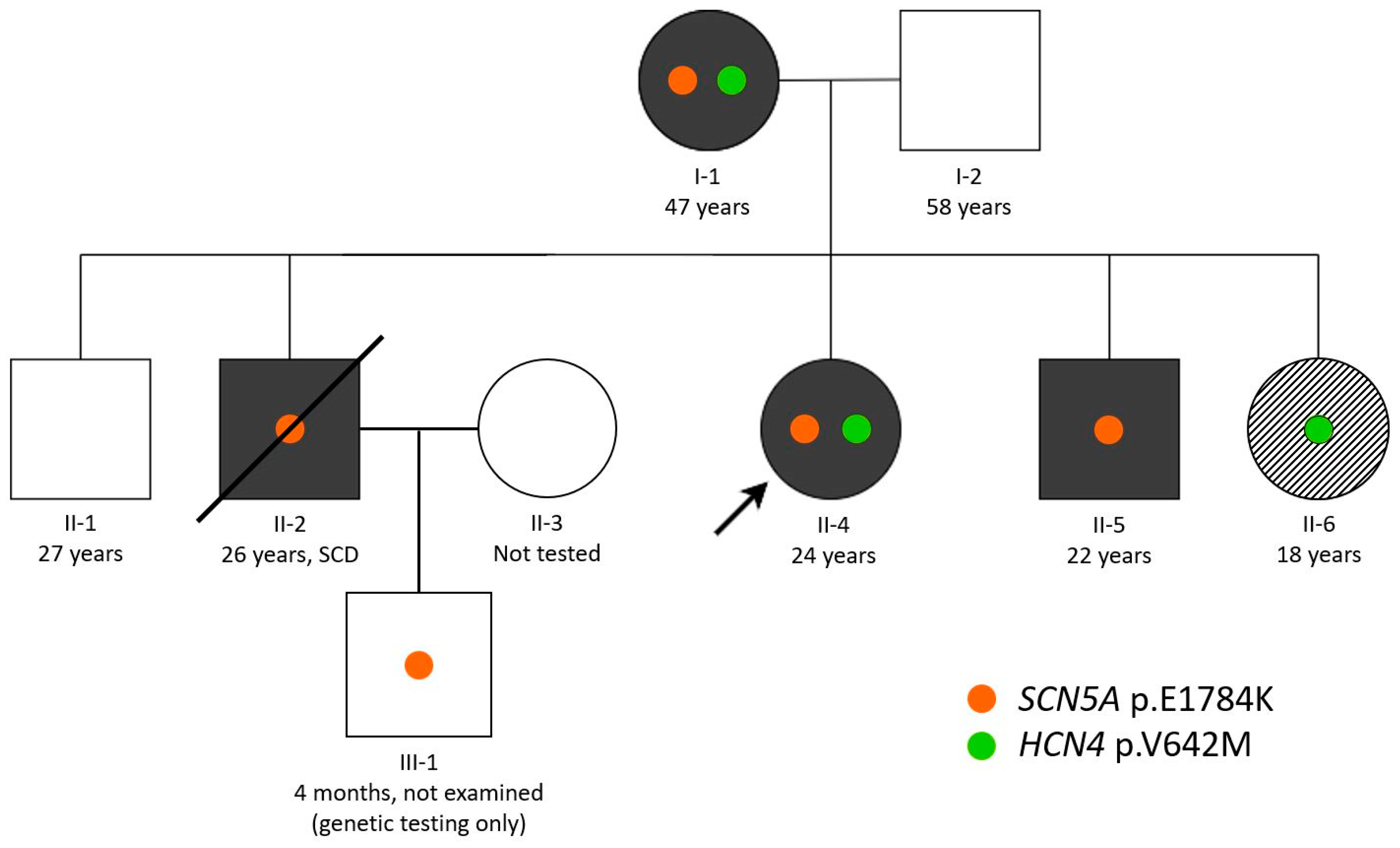 Biomedicines 13 01008 g001