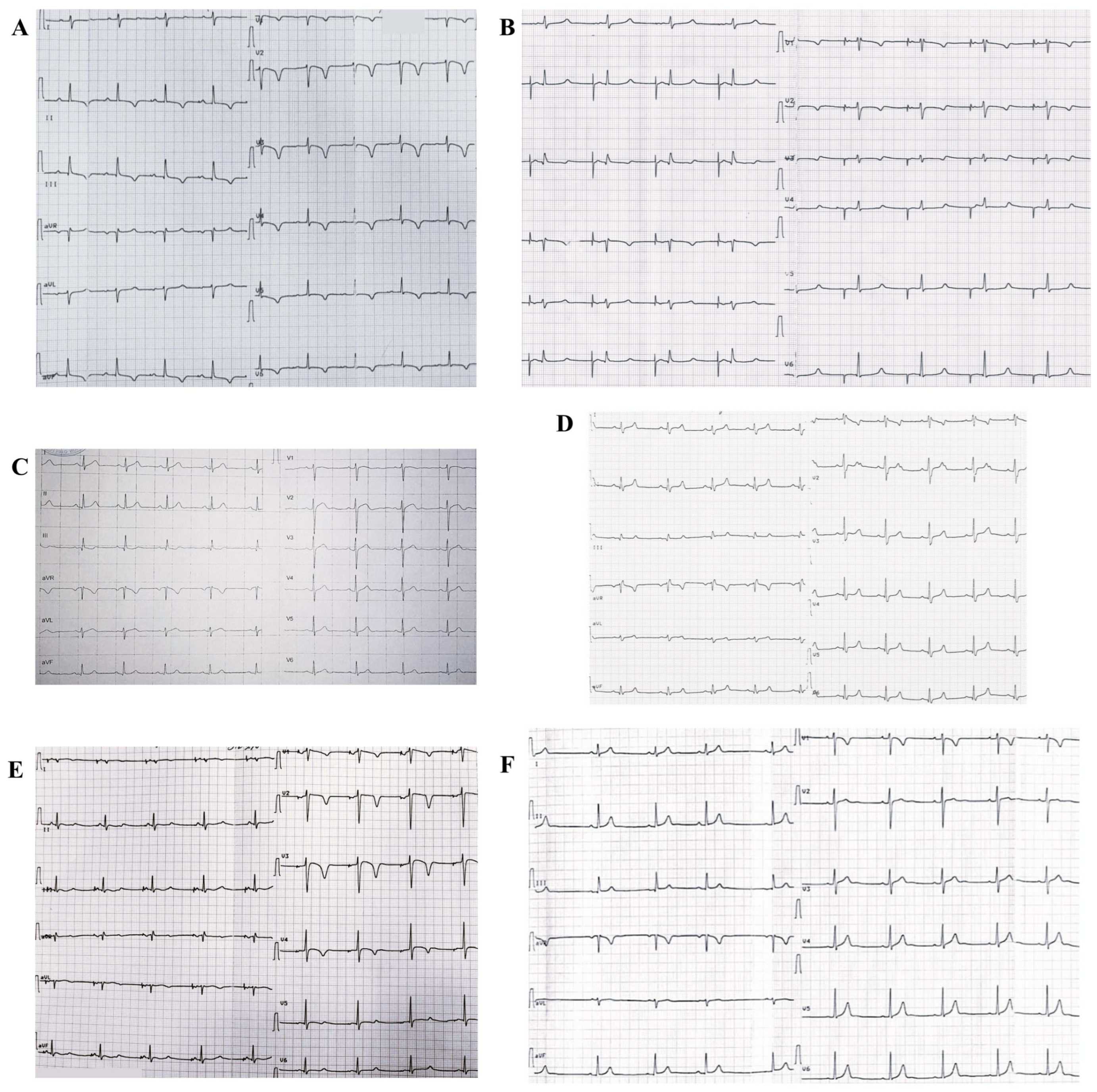 Biomedicines 13 01008 g002