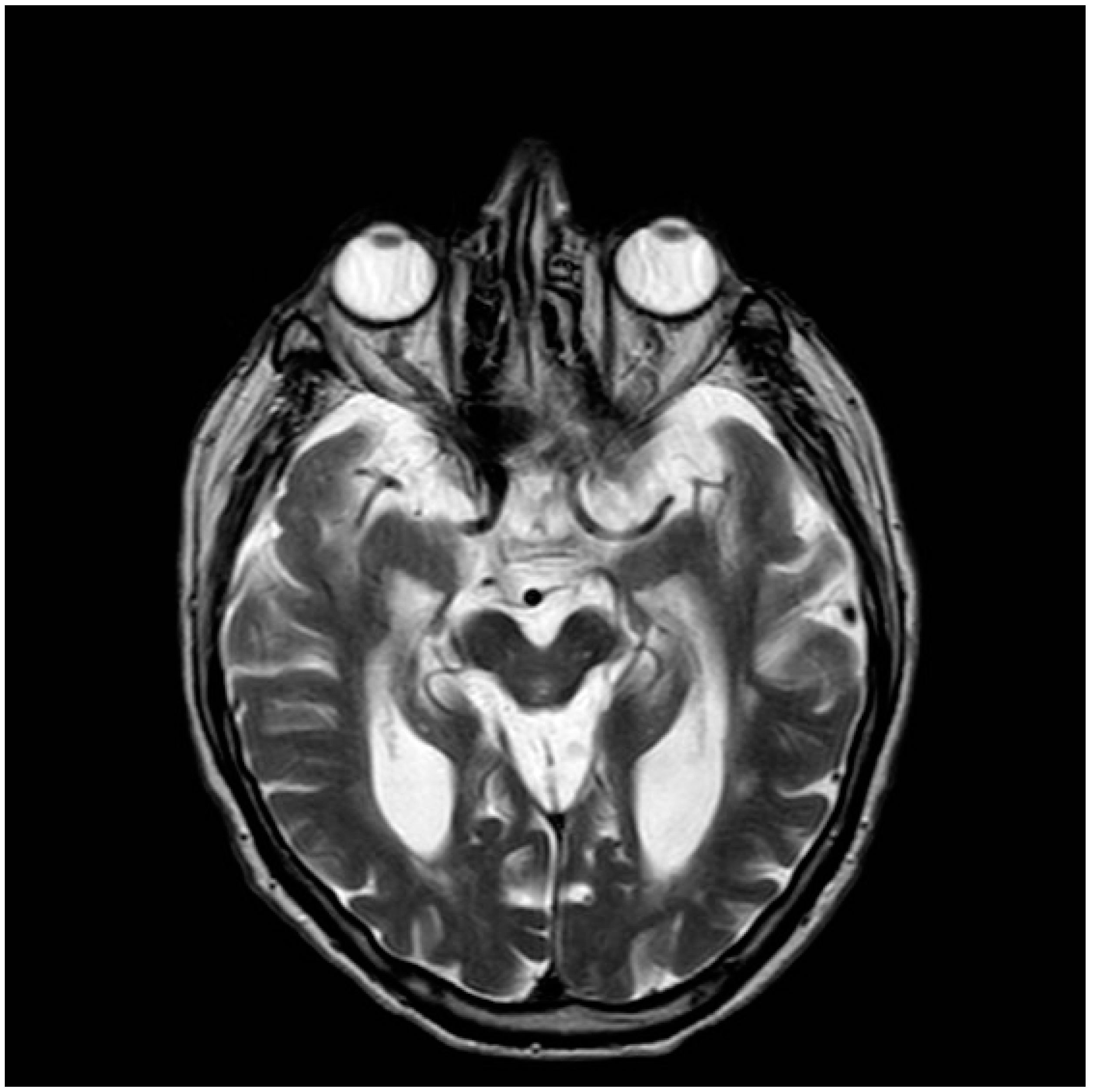 Biomedicines 13 01009 g002