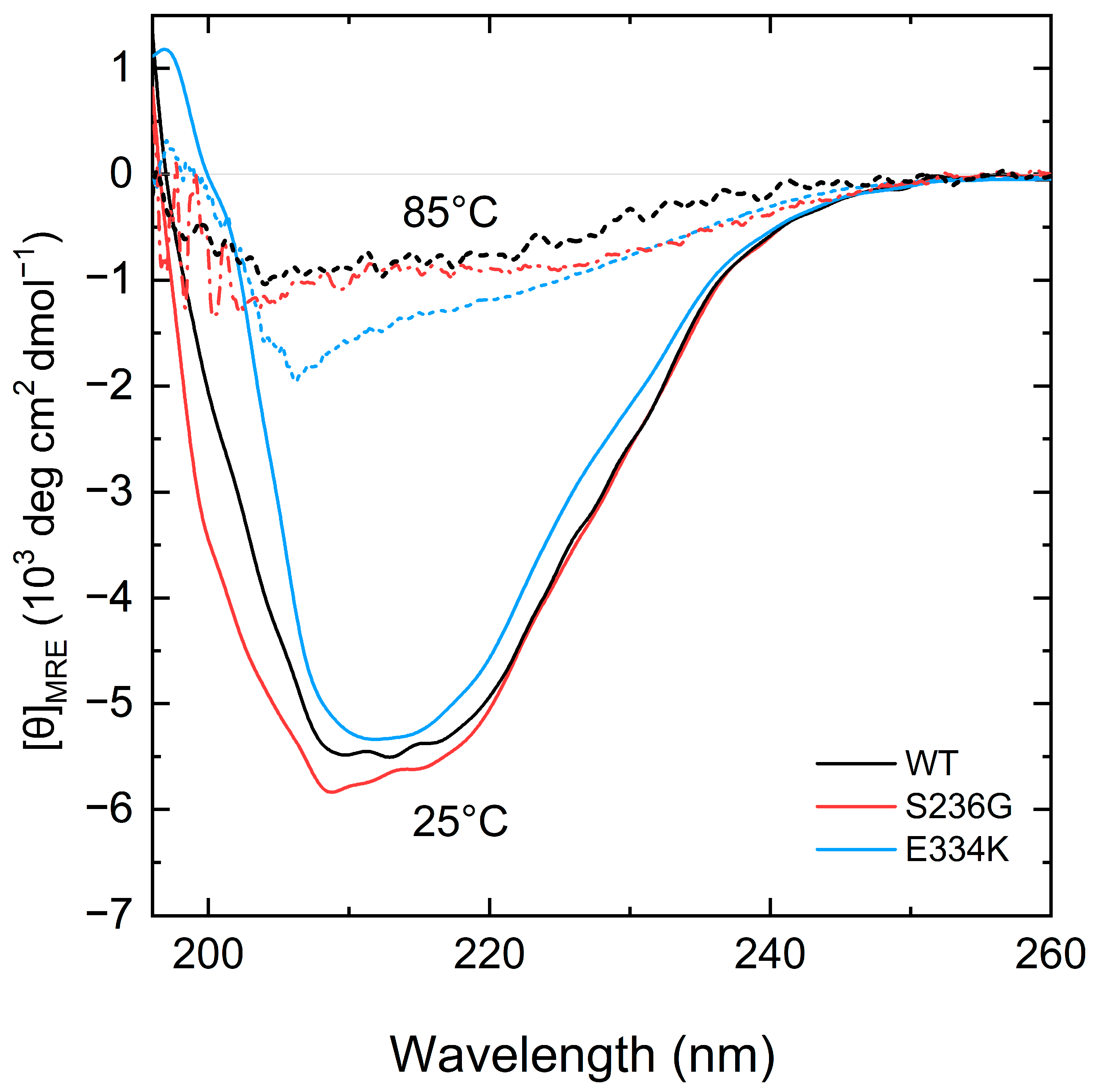 Biomedicines 13 01010 g004