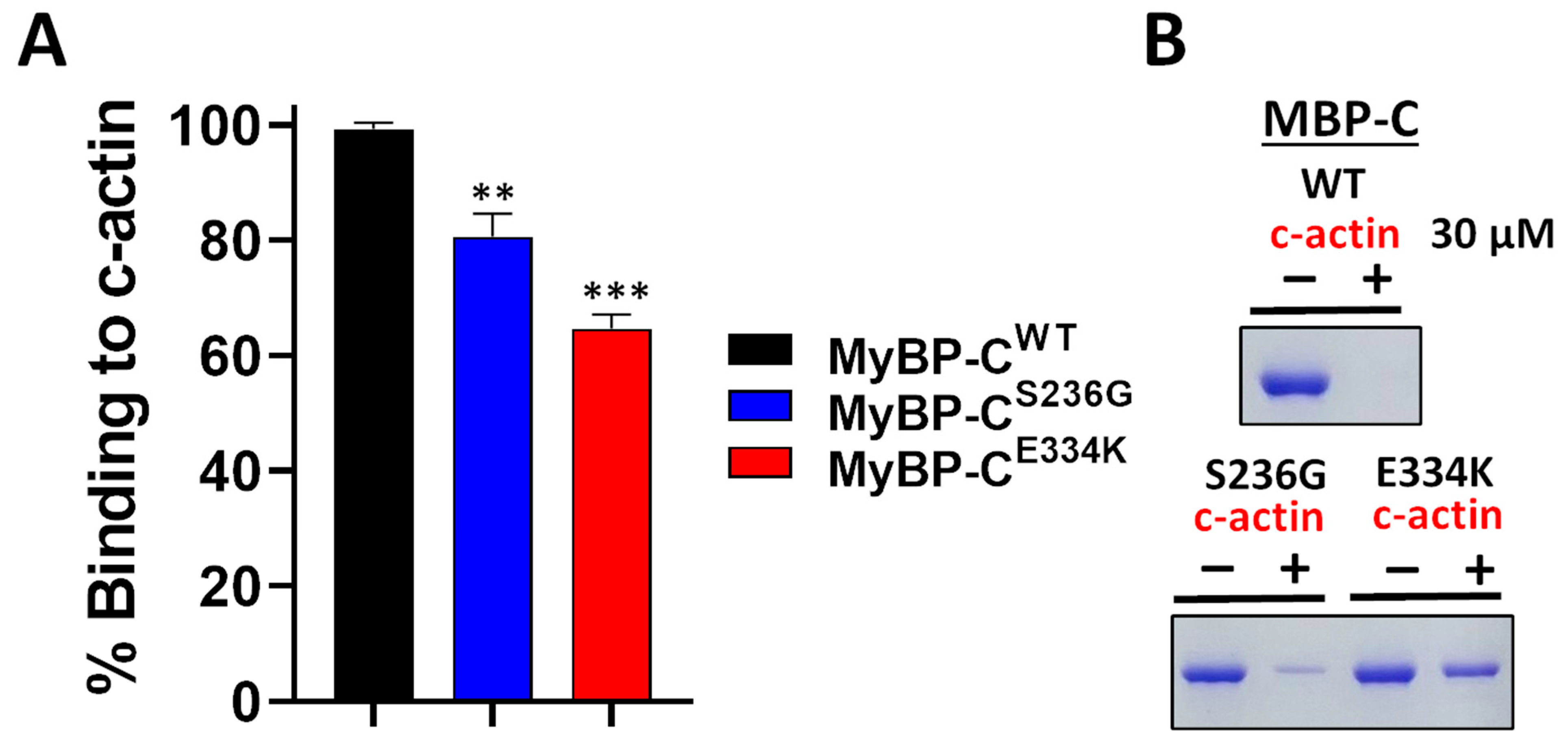 Biomedicines 13 01010 g009