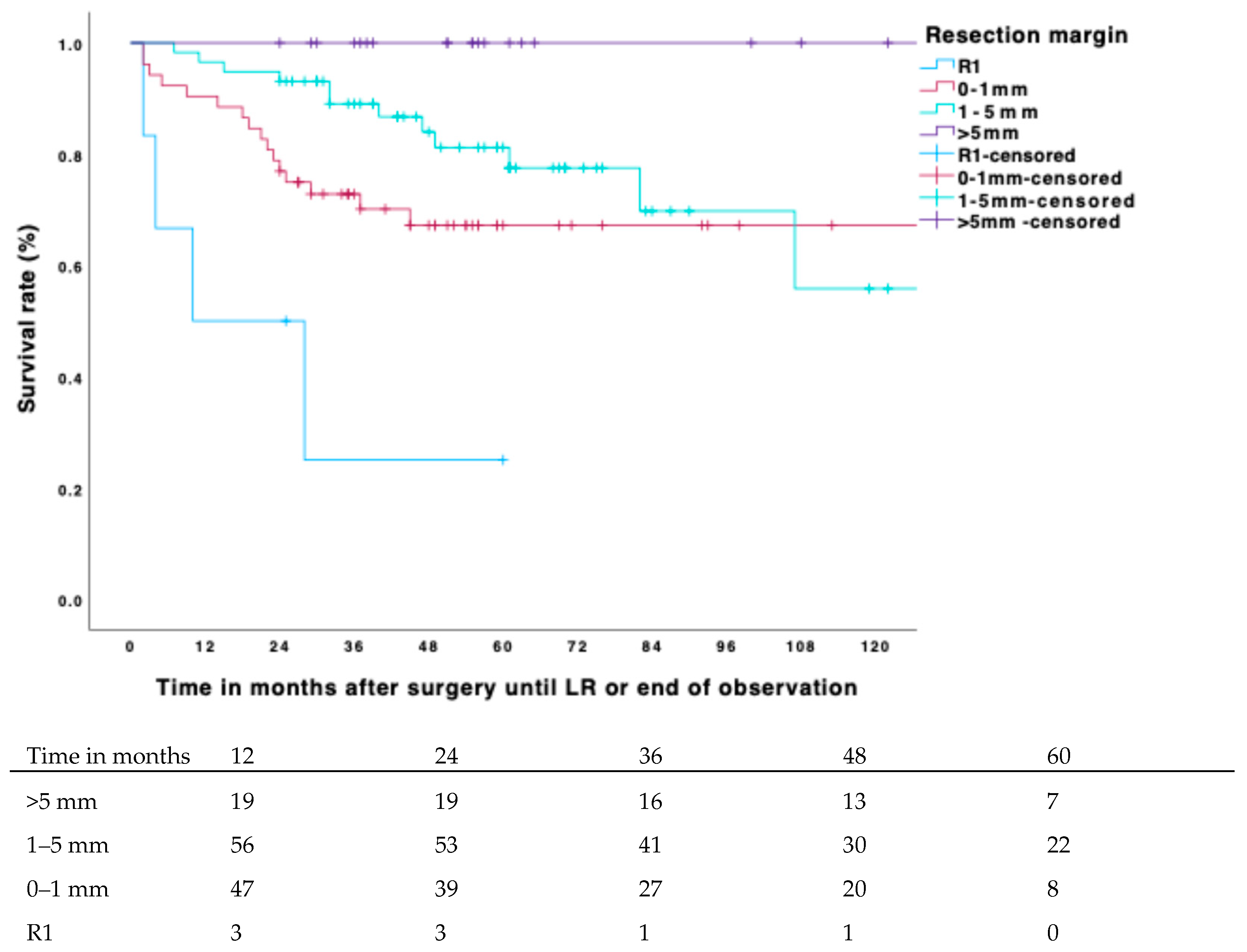 Biomedicines 13 01011 g001