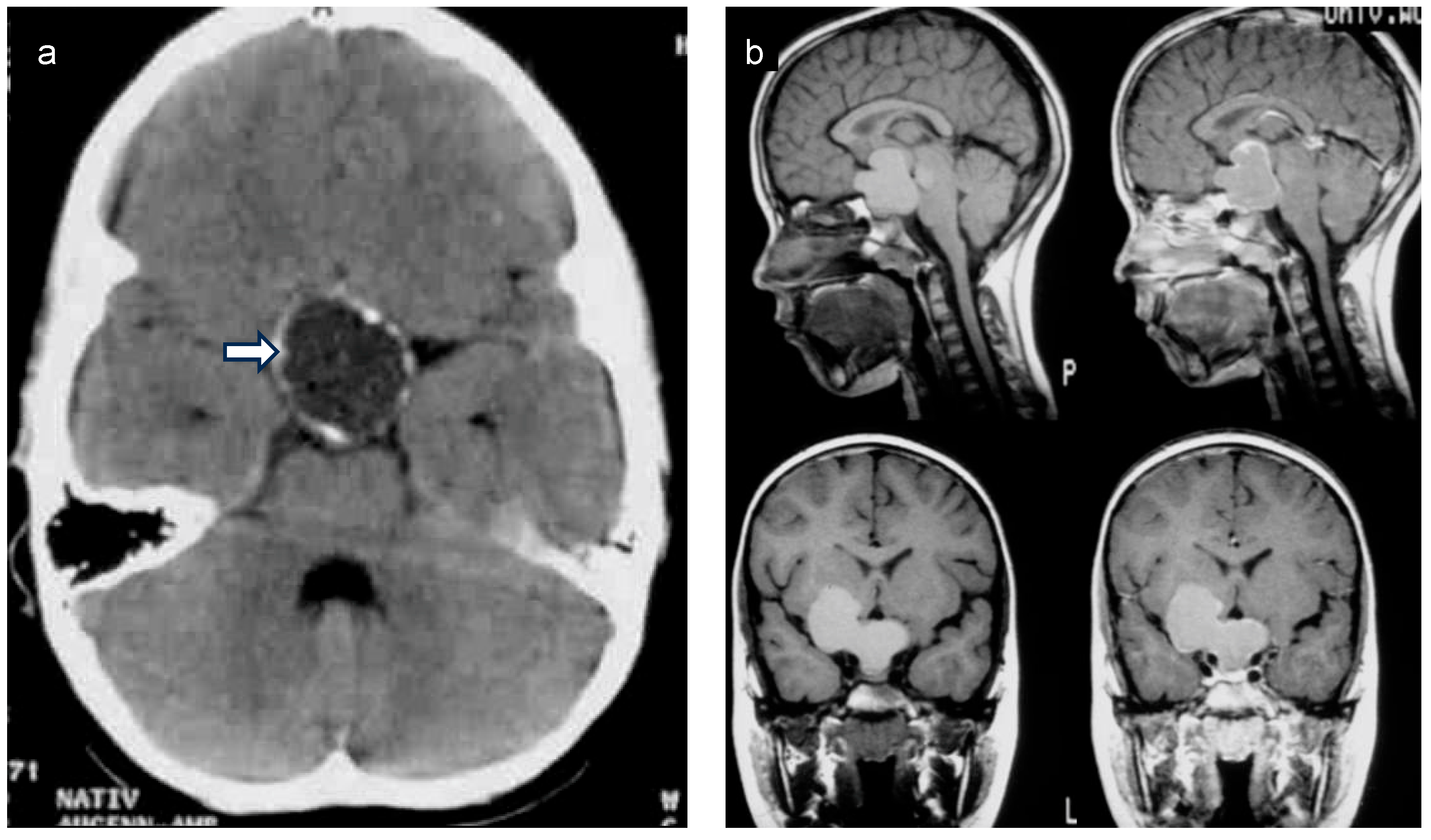 Biomedicines 13 01016 g003