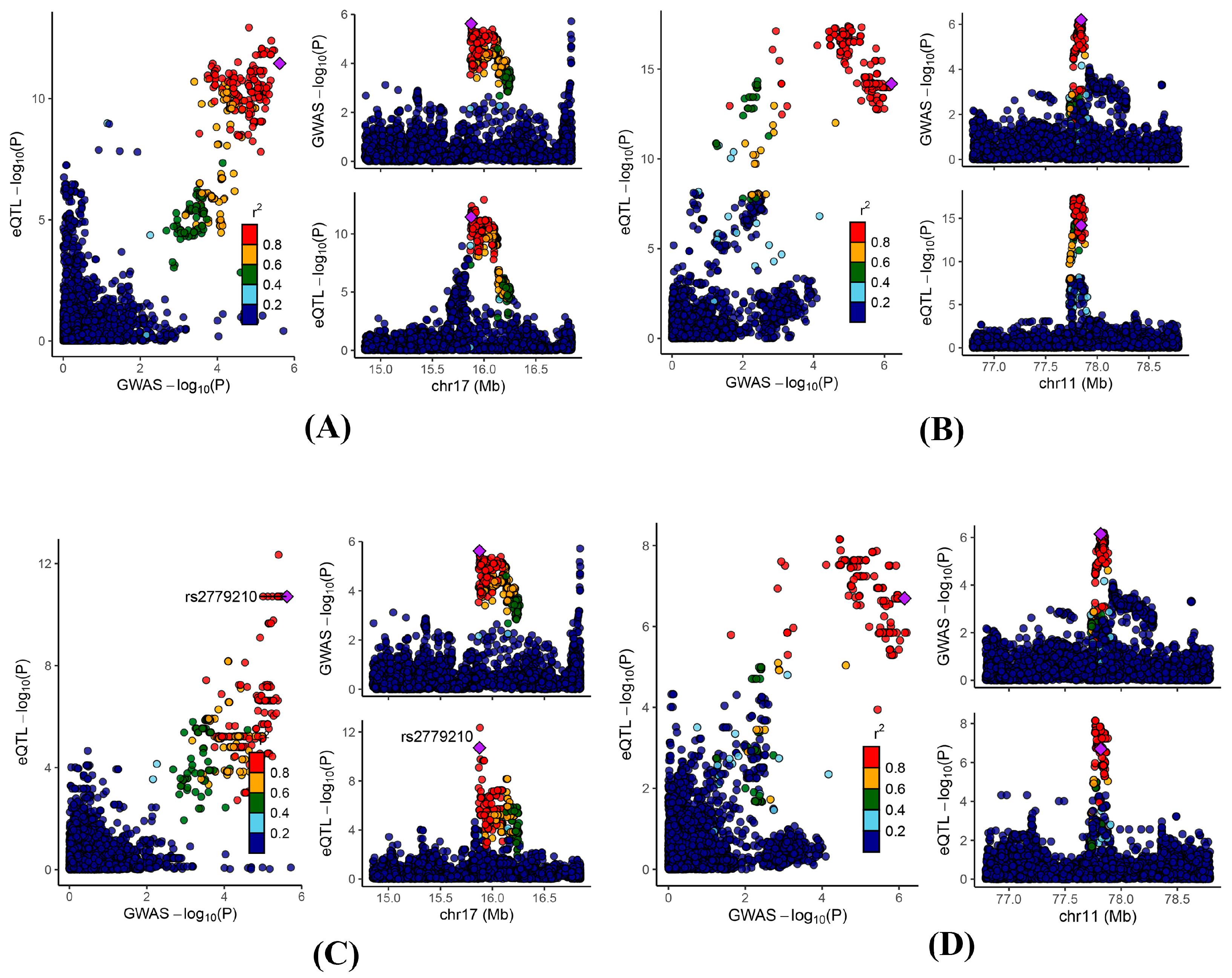 Biomedicines 13 01022 g004