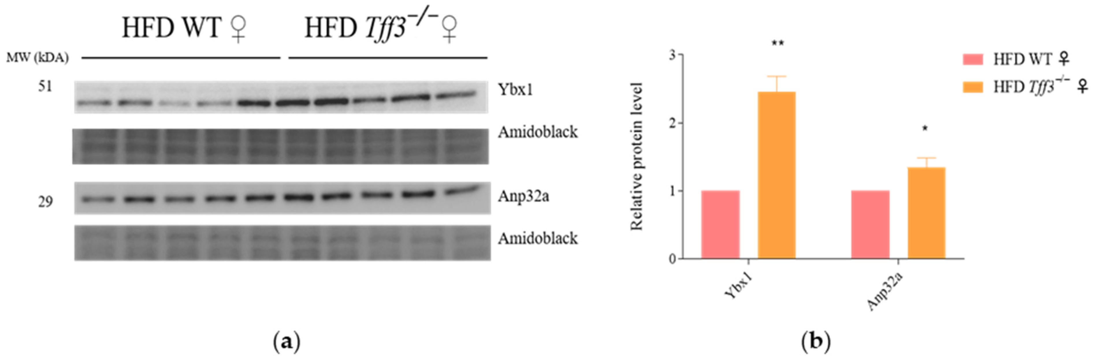 Biomedicines 13 01024 g005